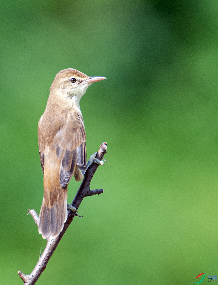 _DSC1750 ����.jpg