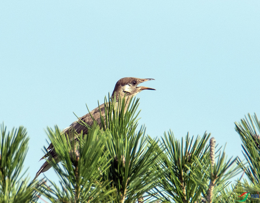 _DSC0936 ����.jpg