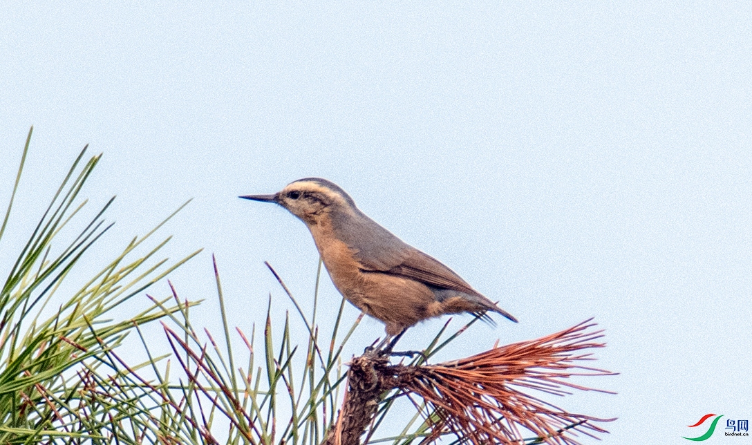 _DSC1158 ����.jpg