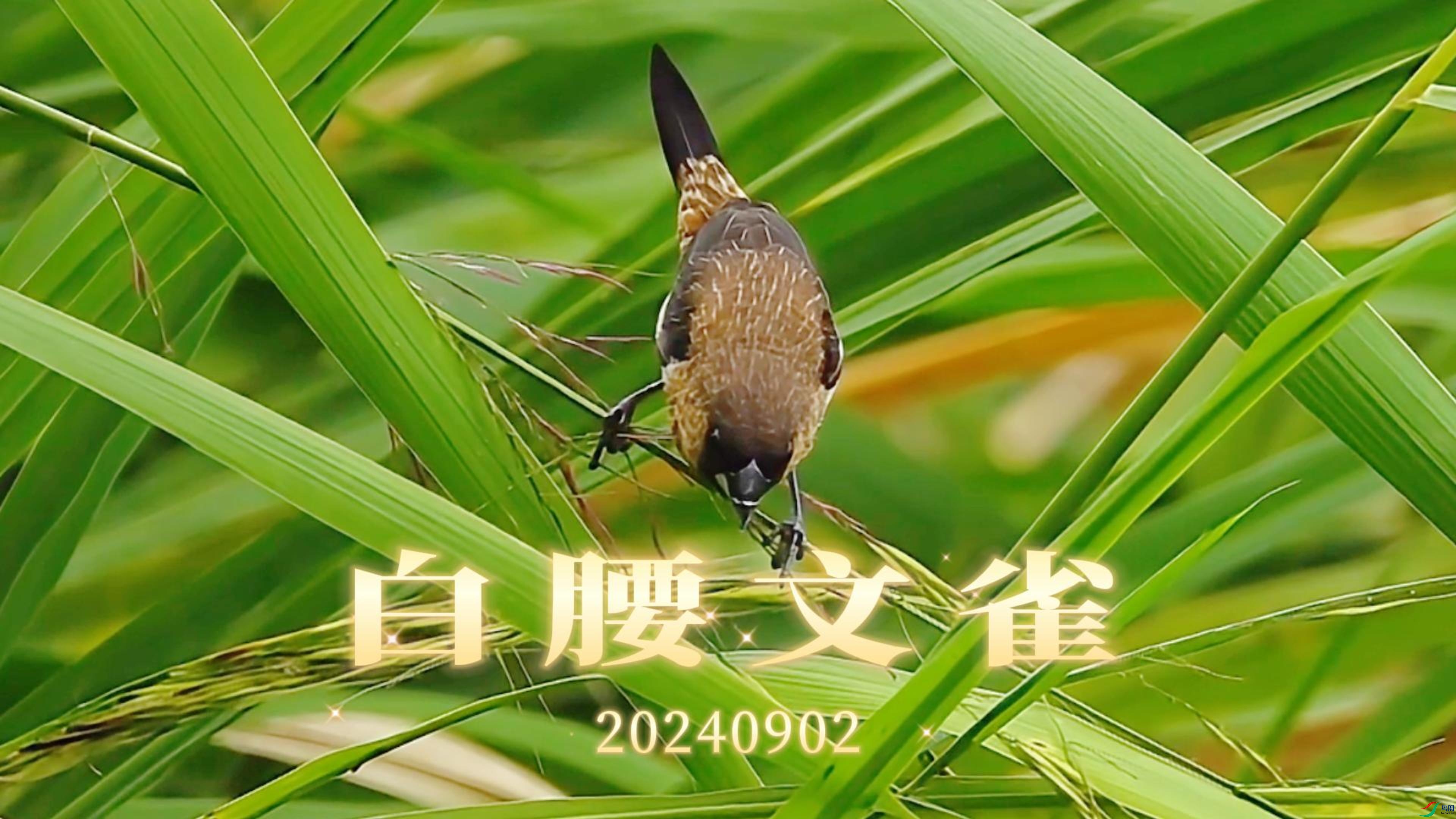 9��1�� (1)-����.jpg