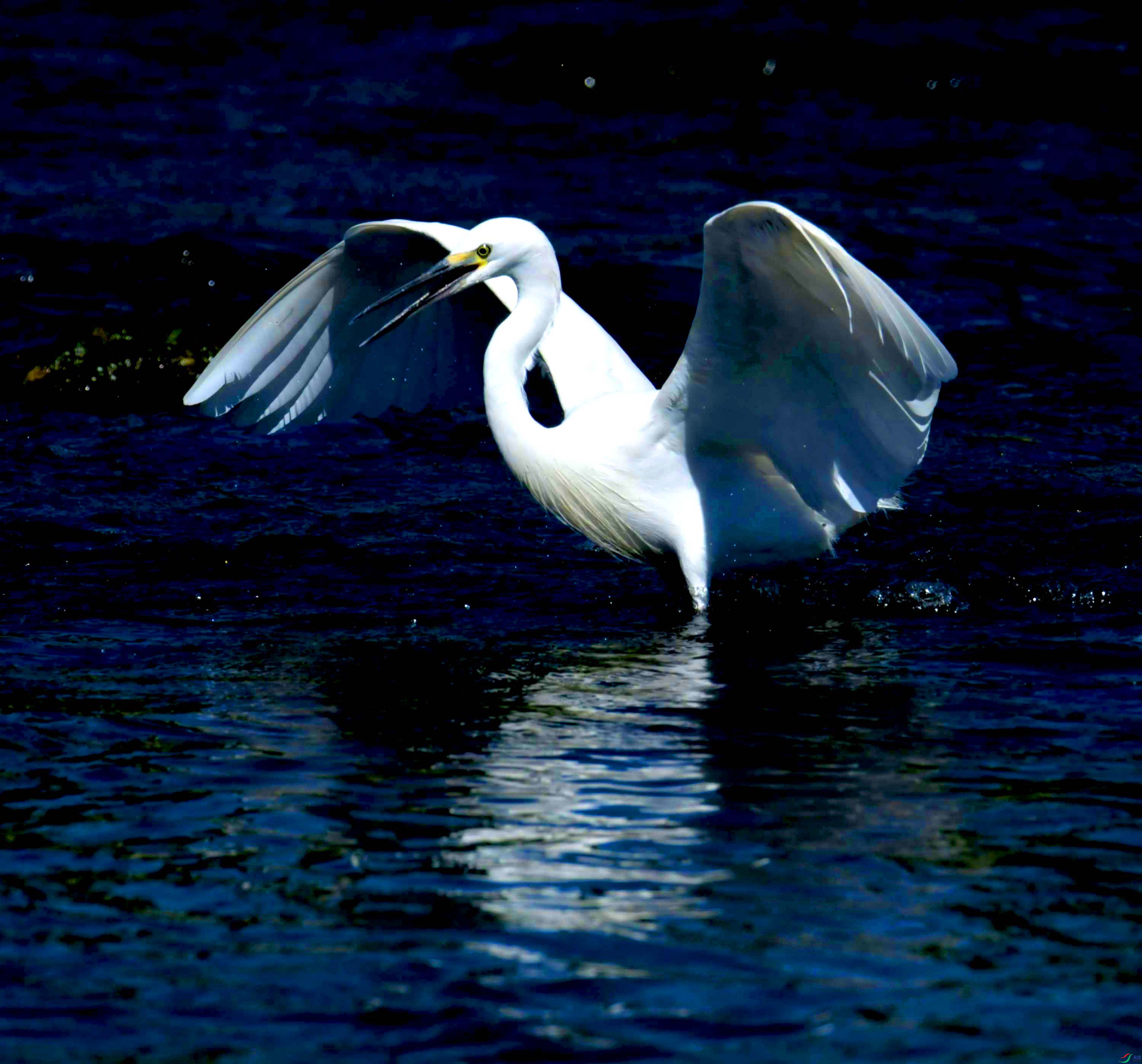 DSC_4309.JPG