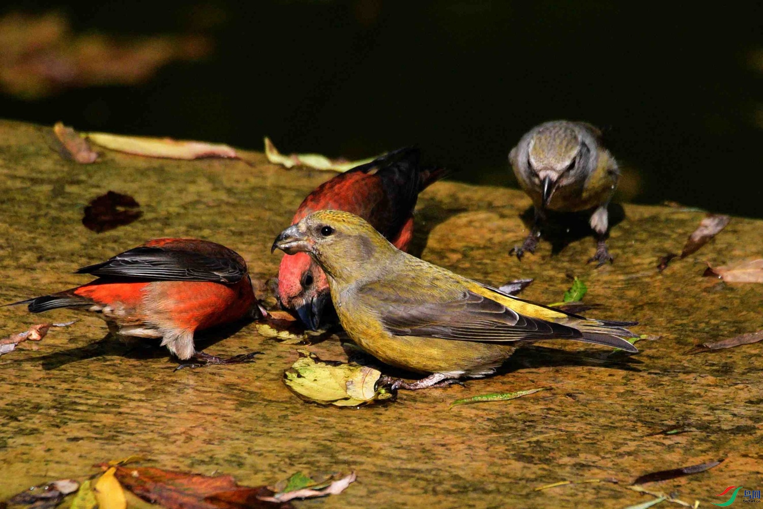 DSC_8382.JPG