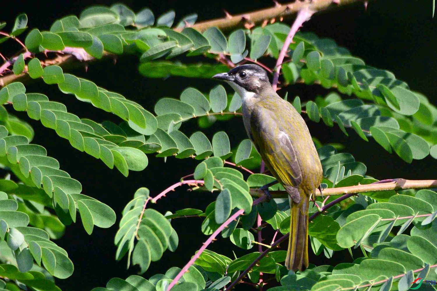 DSC_8574.JPG