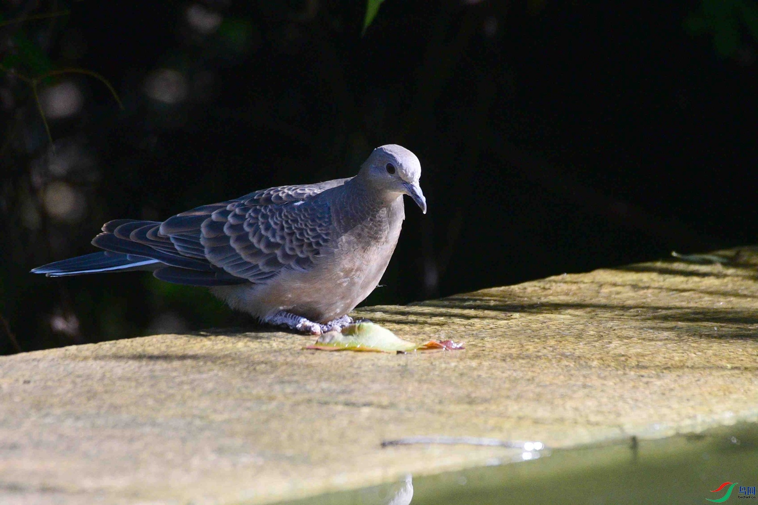 DSC_8860.JPG