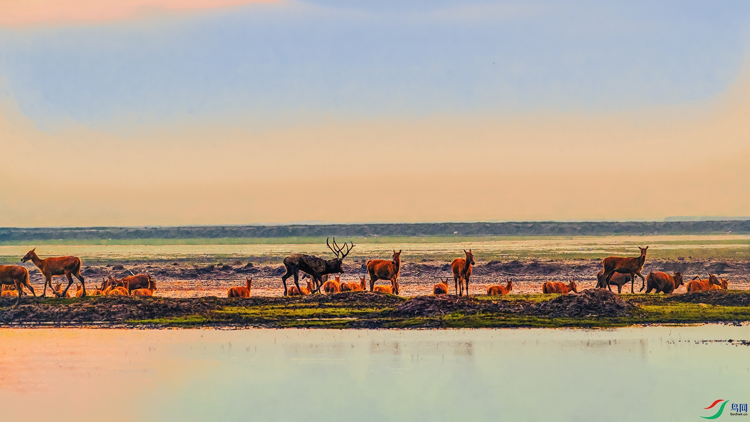 ��¹----��檳�Ⱥ