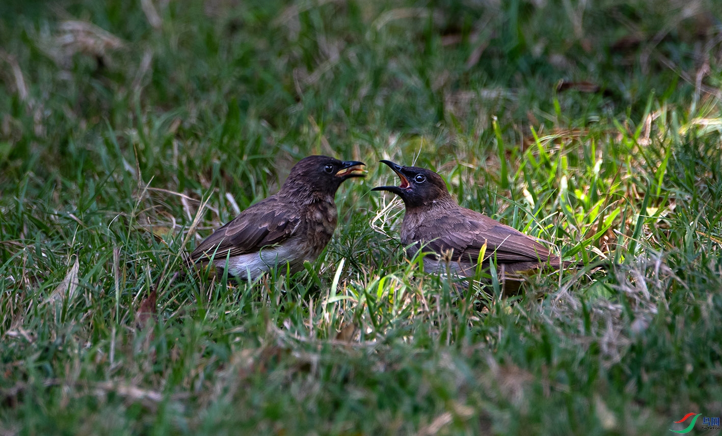 _DSC8439.jpg