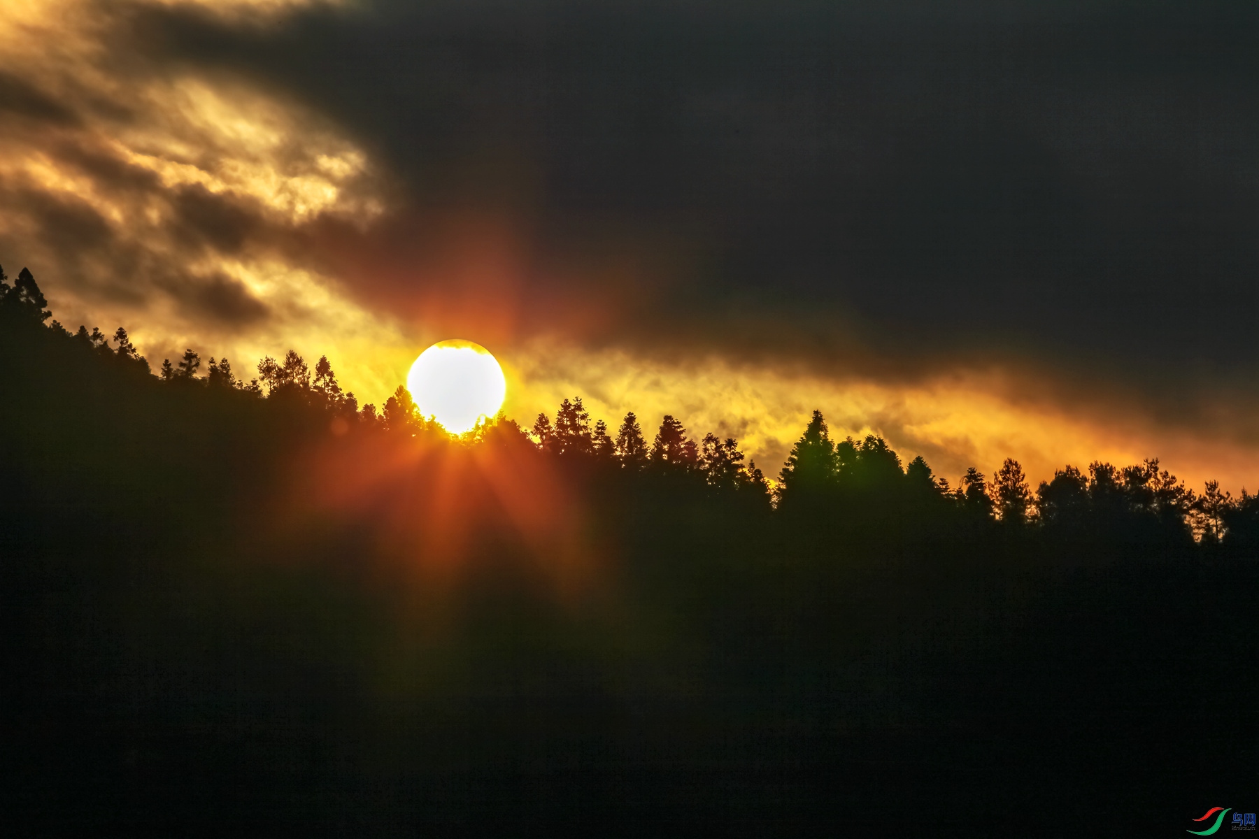 IMG_7249 ����_����.jpg