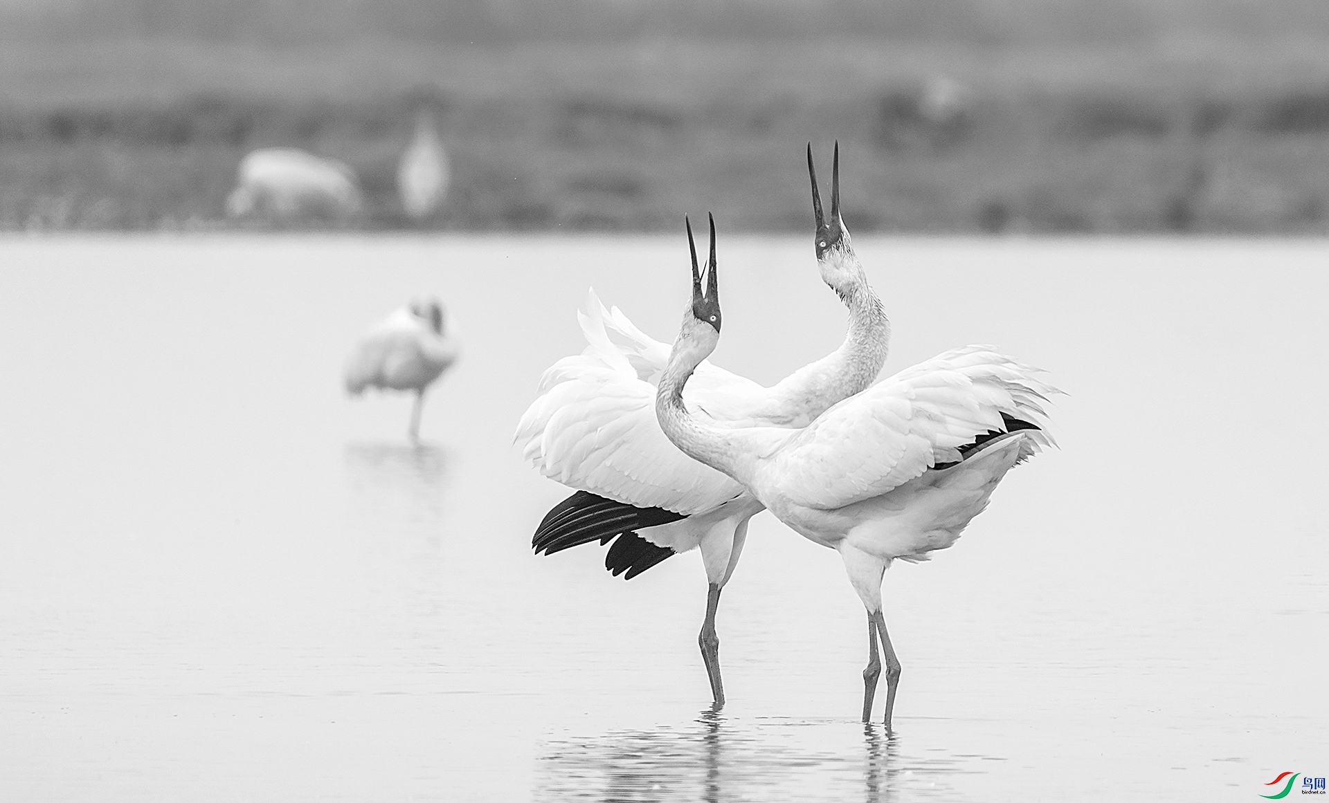 DSC_7246 ���� 2xx.jpg