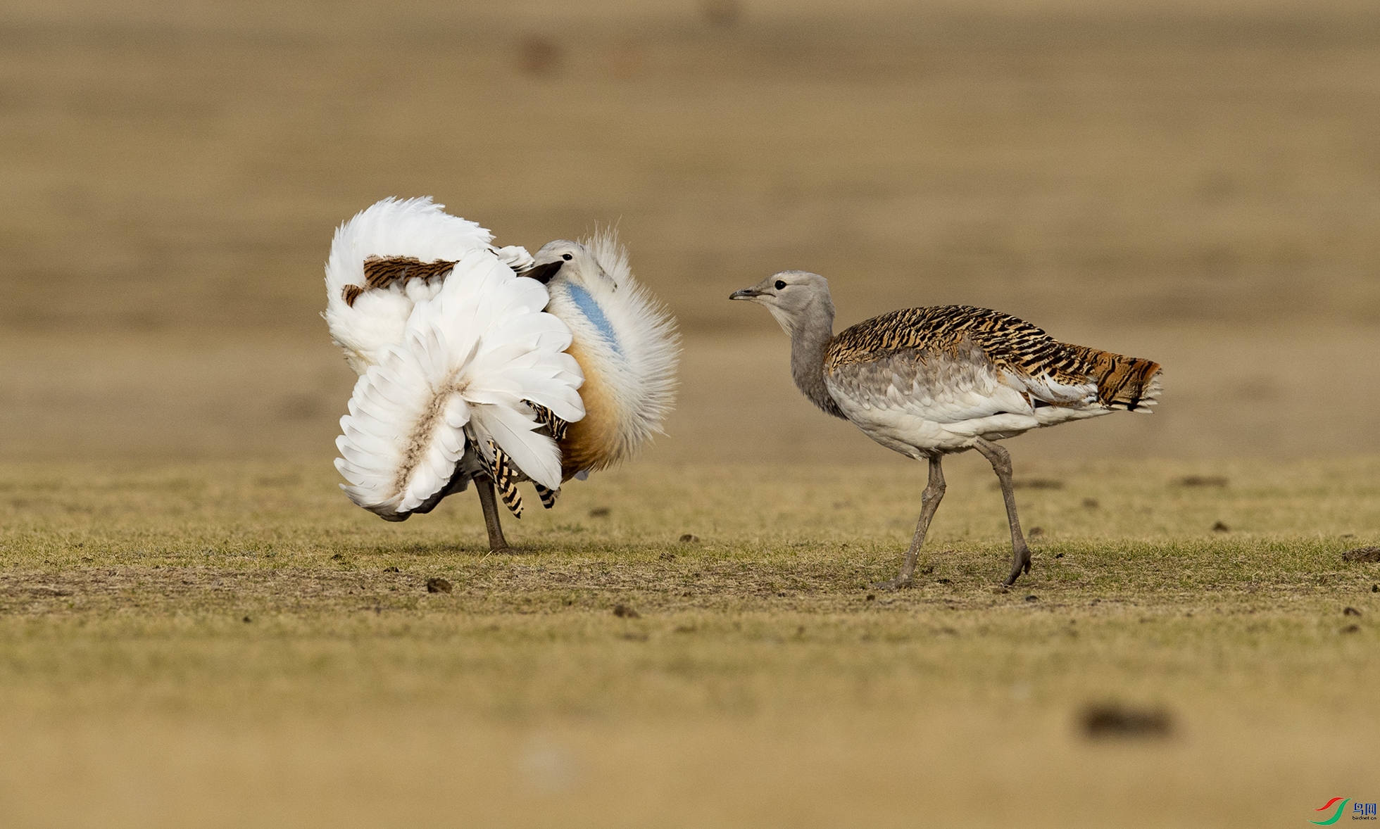 DSC_8348 ���.jpg