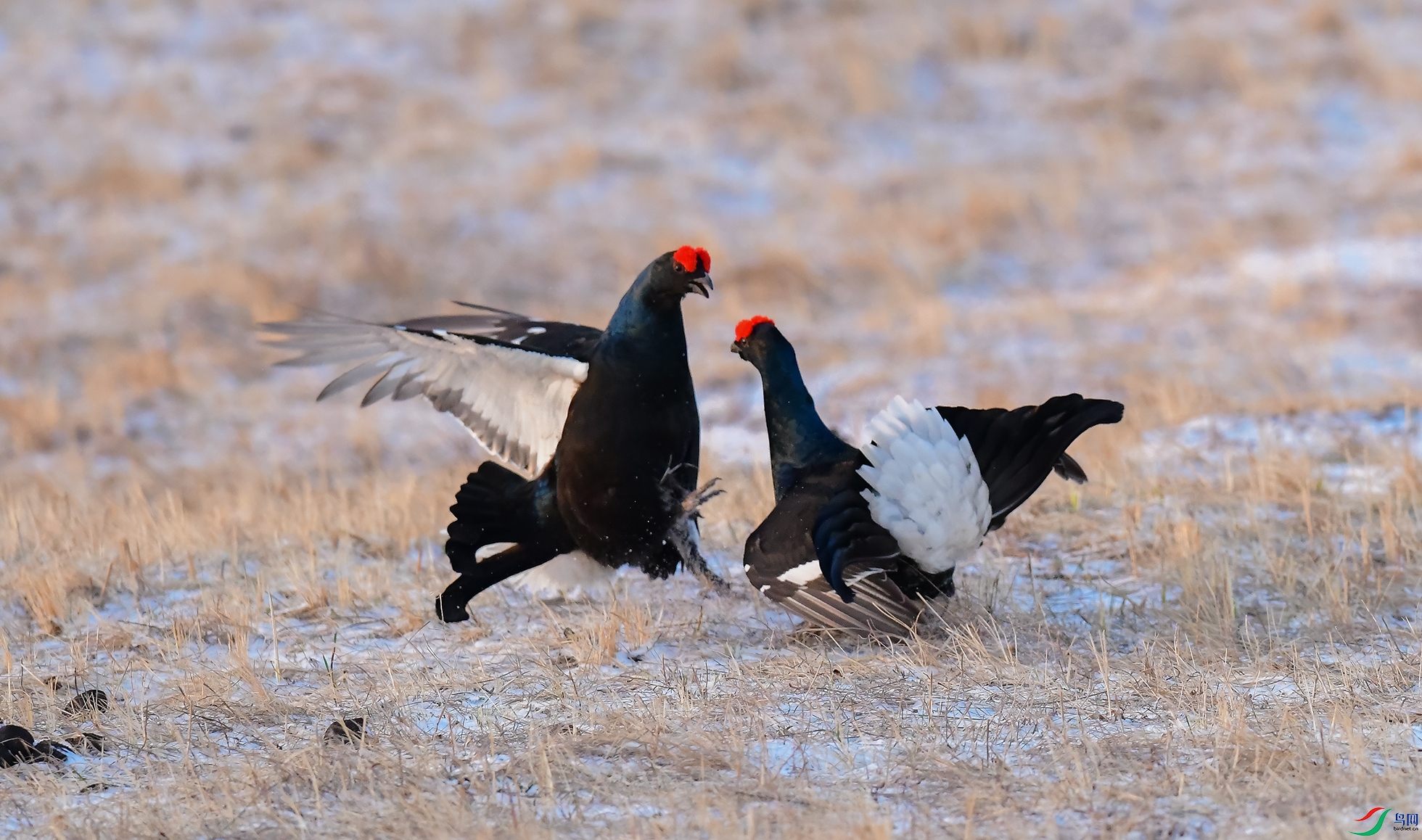 XQD_8085 ����.jpg