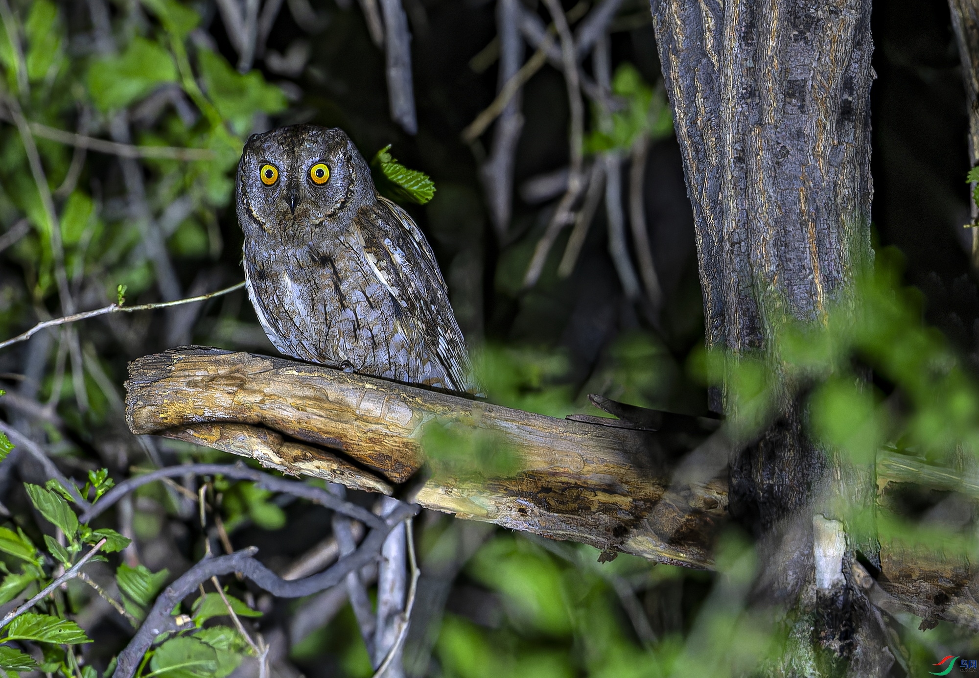 ������^ (124)-1.jpg