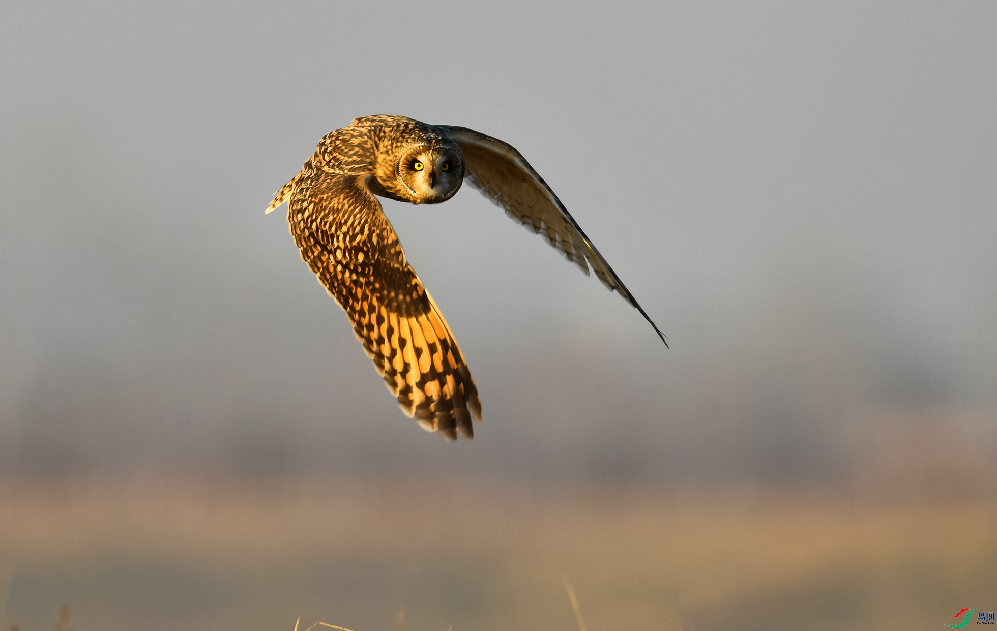 XQD_9788 ����.jpg