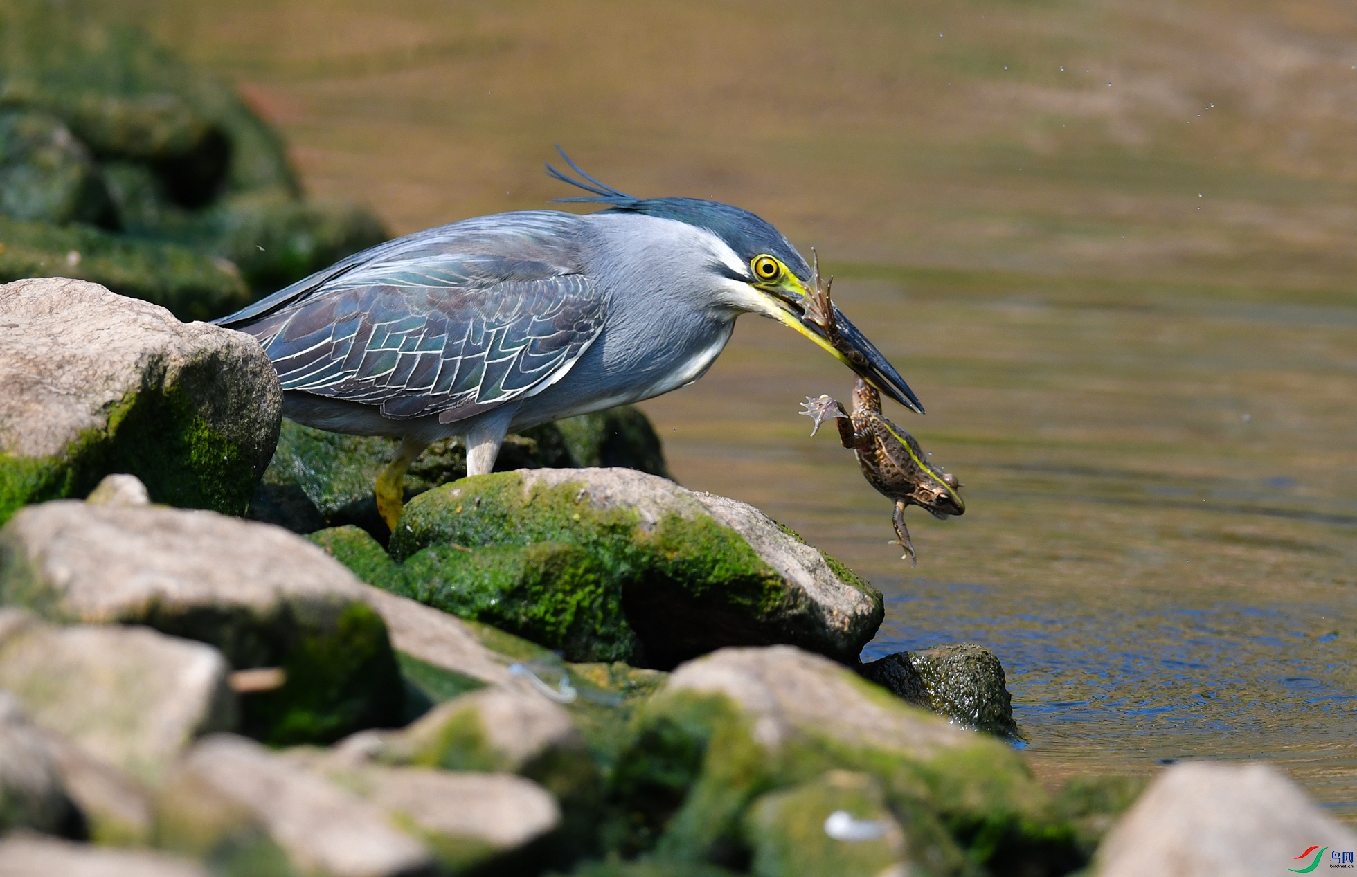 XQD_9050 ����.jpg