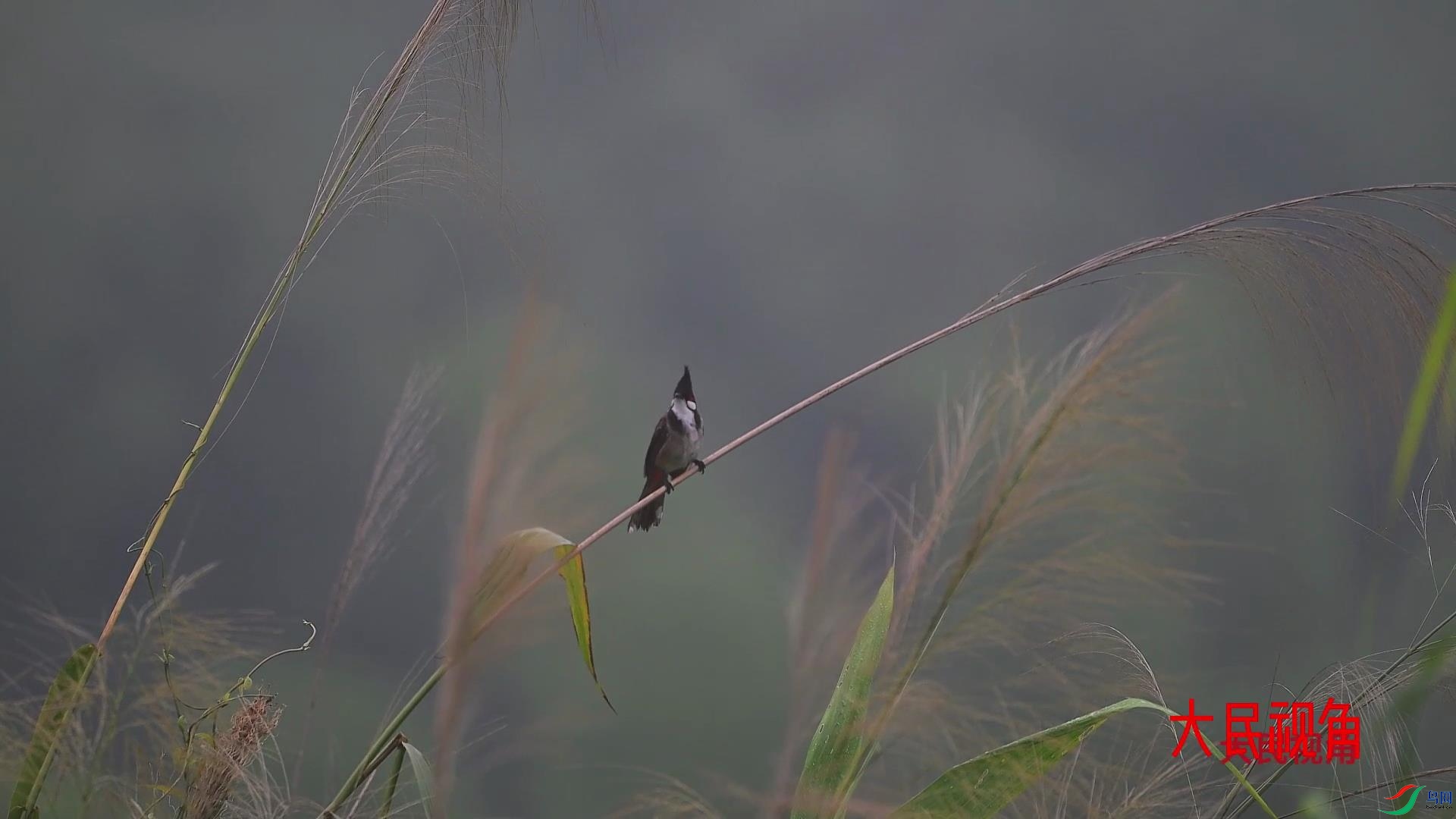 2024-09-03 11-21-04.jpg