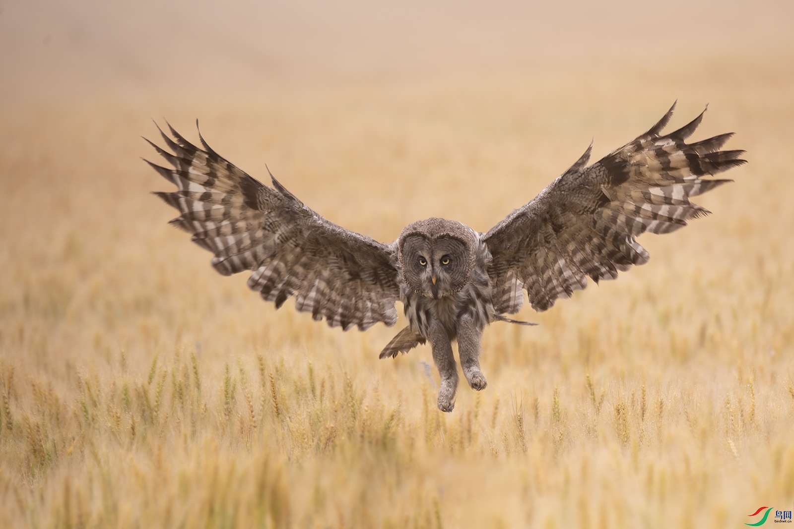 _DSC4404 ����.jpg