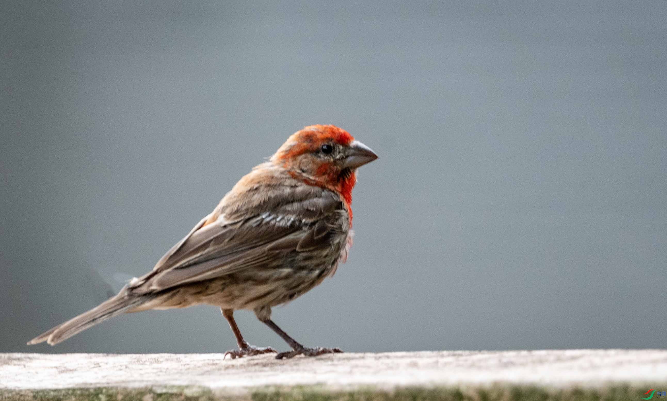 DSC_0315 ����2.jpg