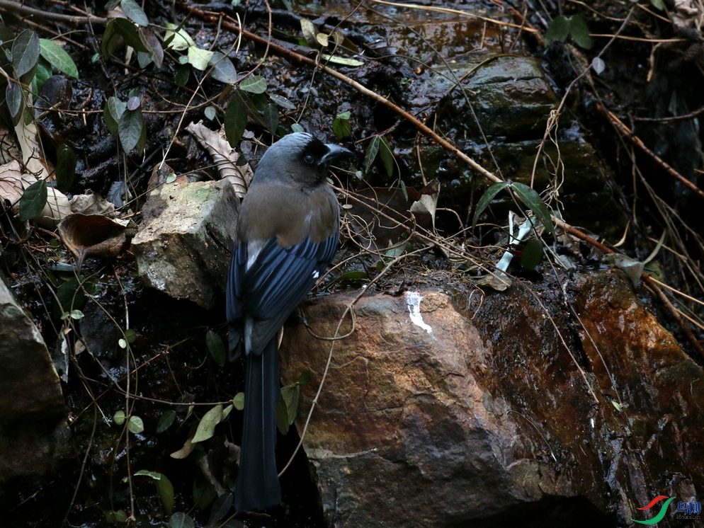 DSC20240229060.jpg