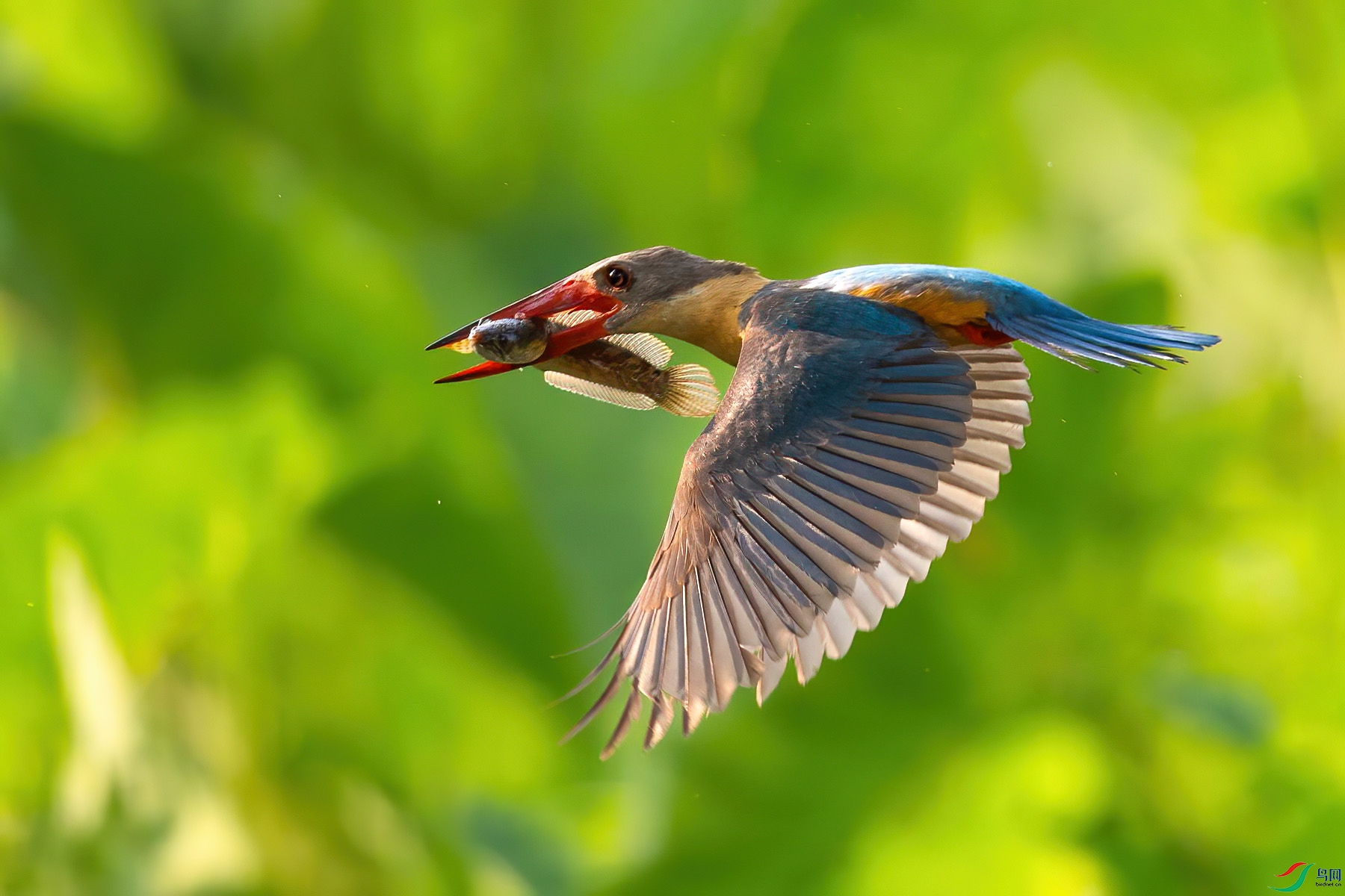 �������