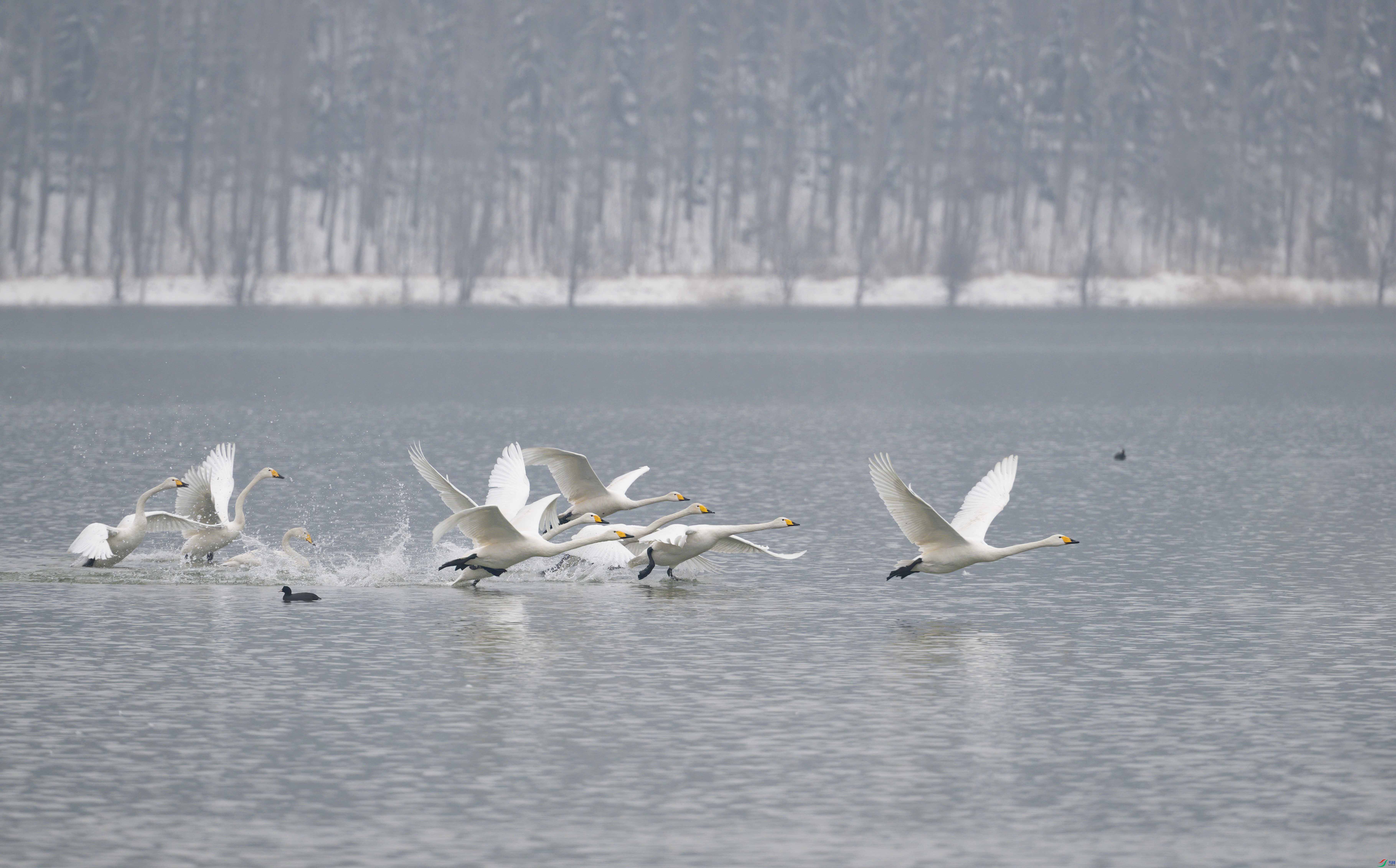 DSC_5722-2sen2024-1-17-120-�༭.jpg