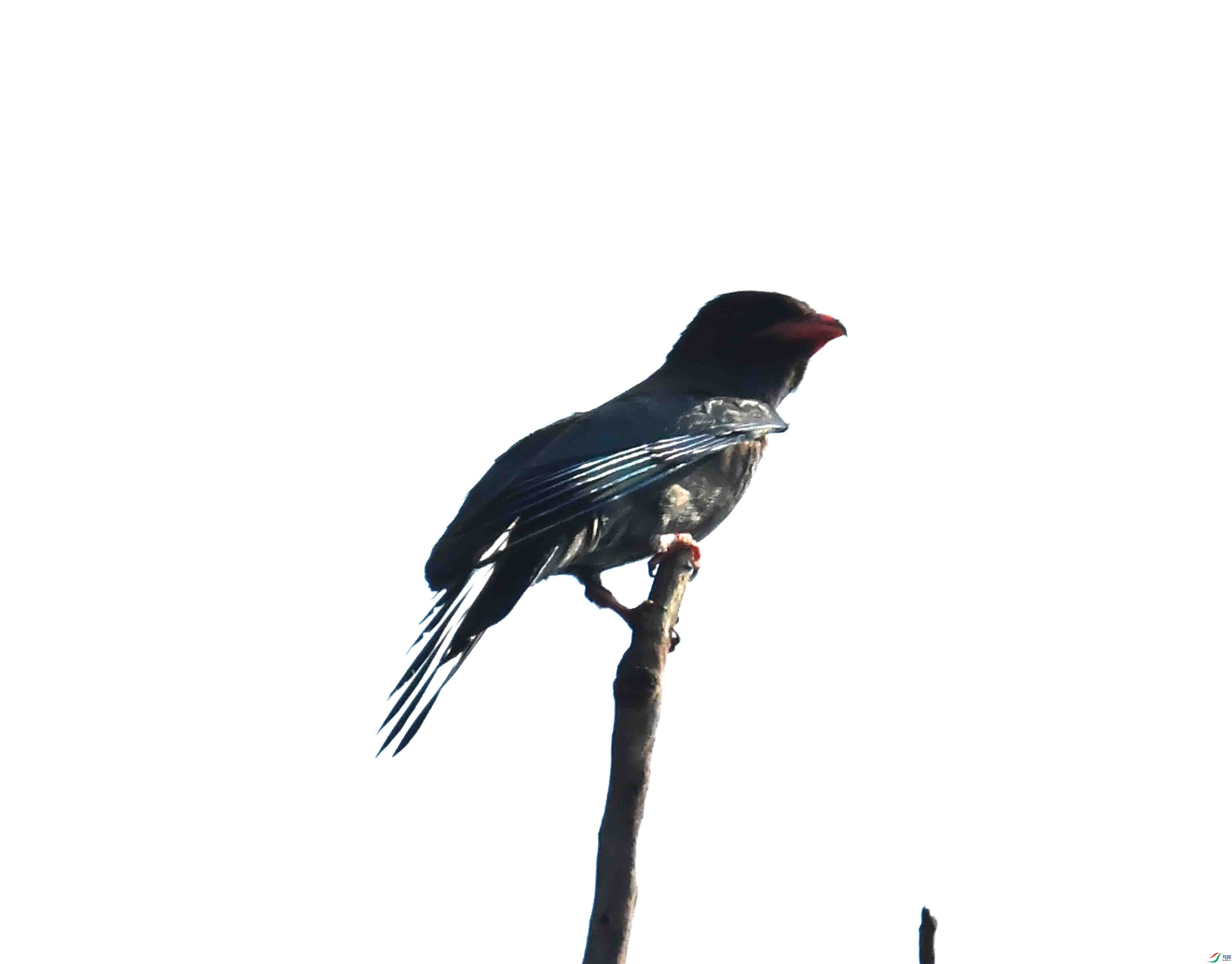 DSC_3627.JPG
