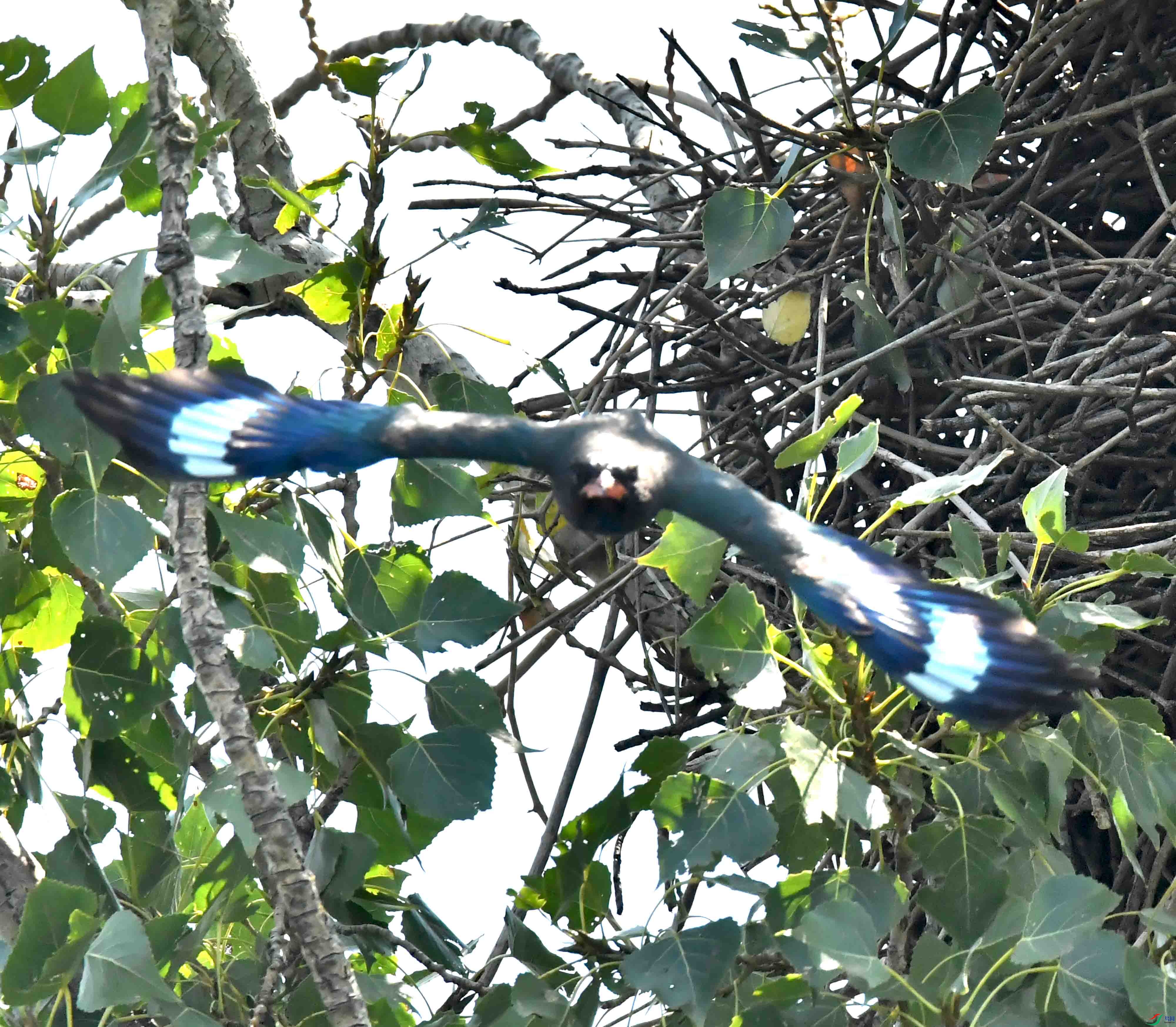 DSC_3751.JPG