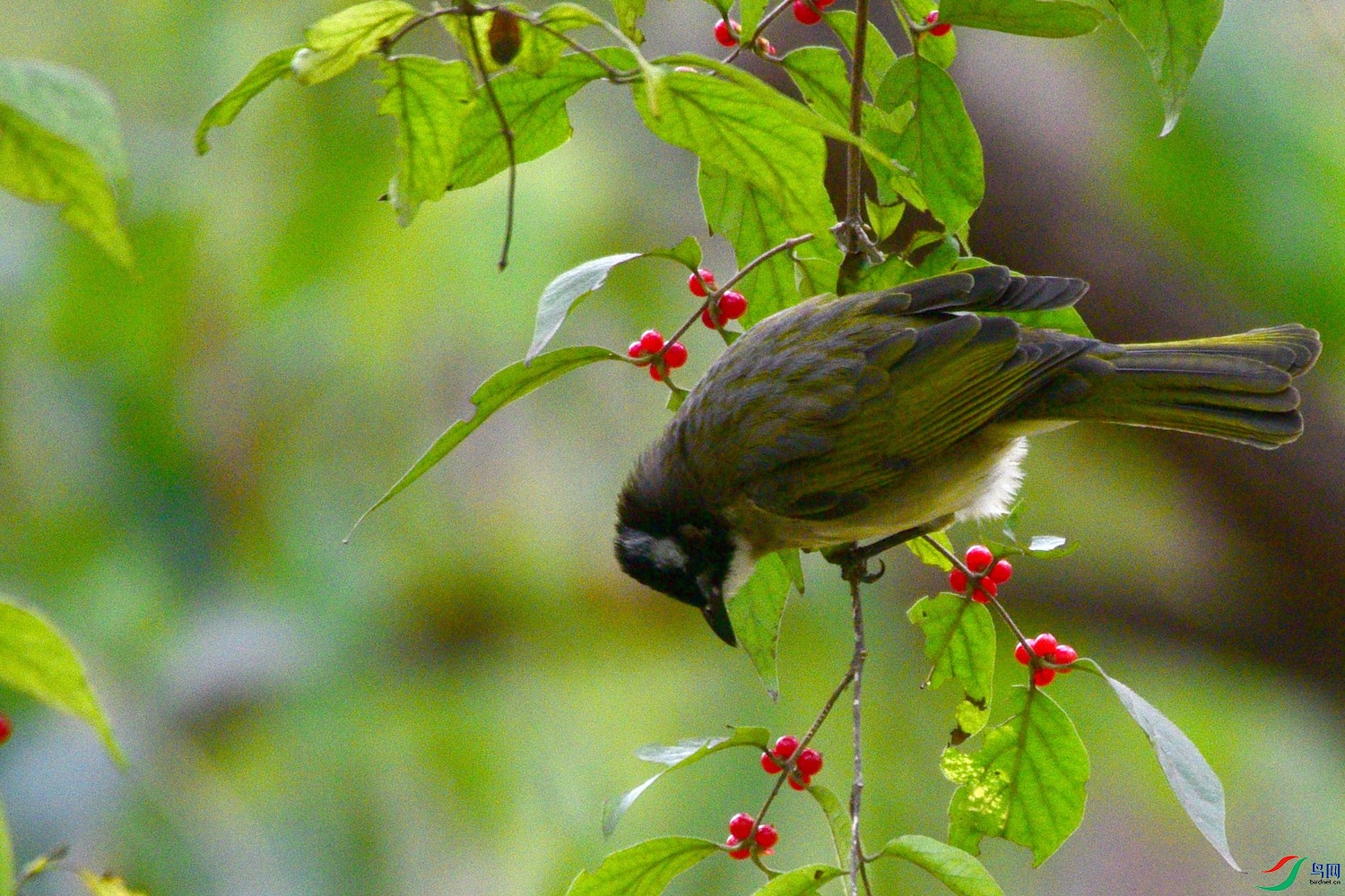 DSC_6091.JPG