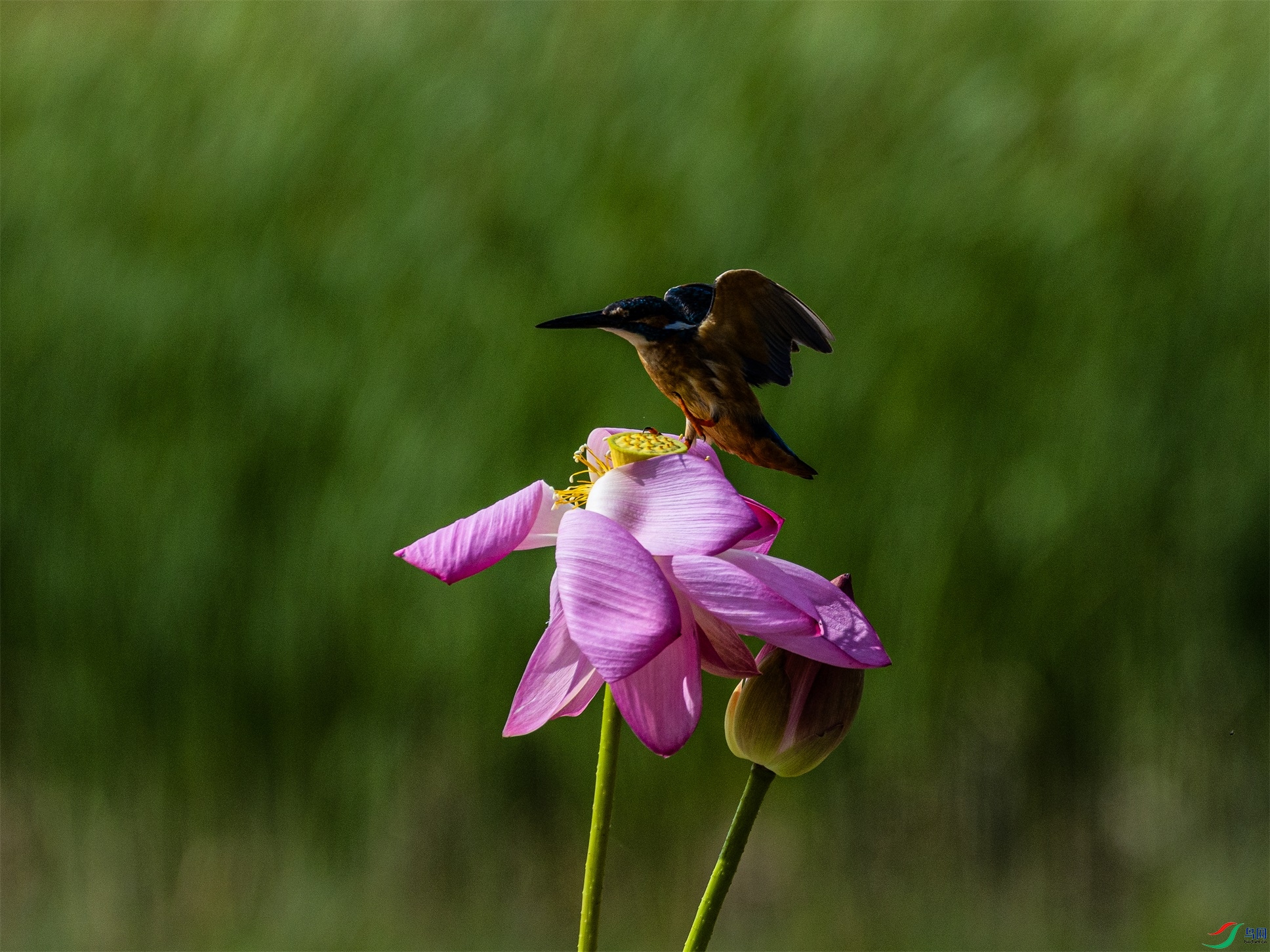 1K3A2327 ����1.jpg