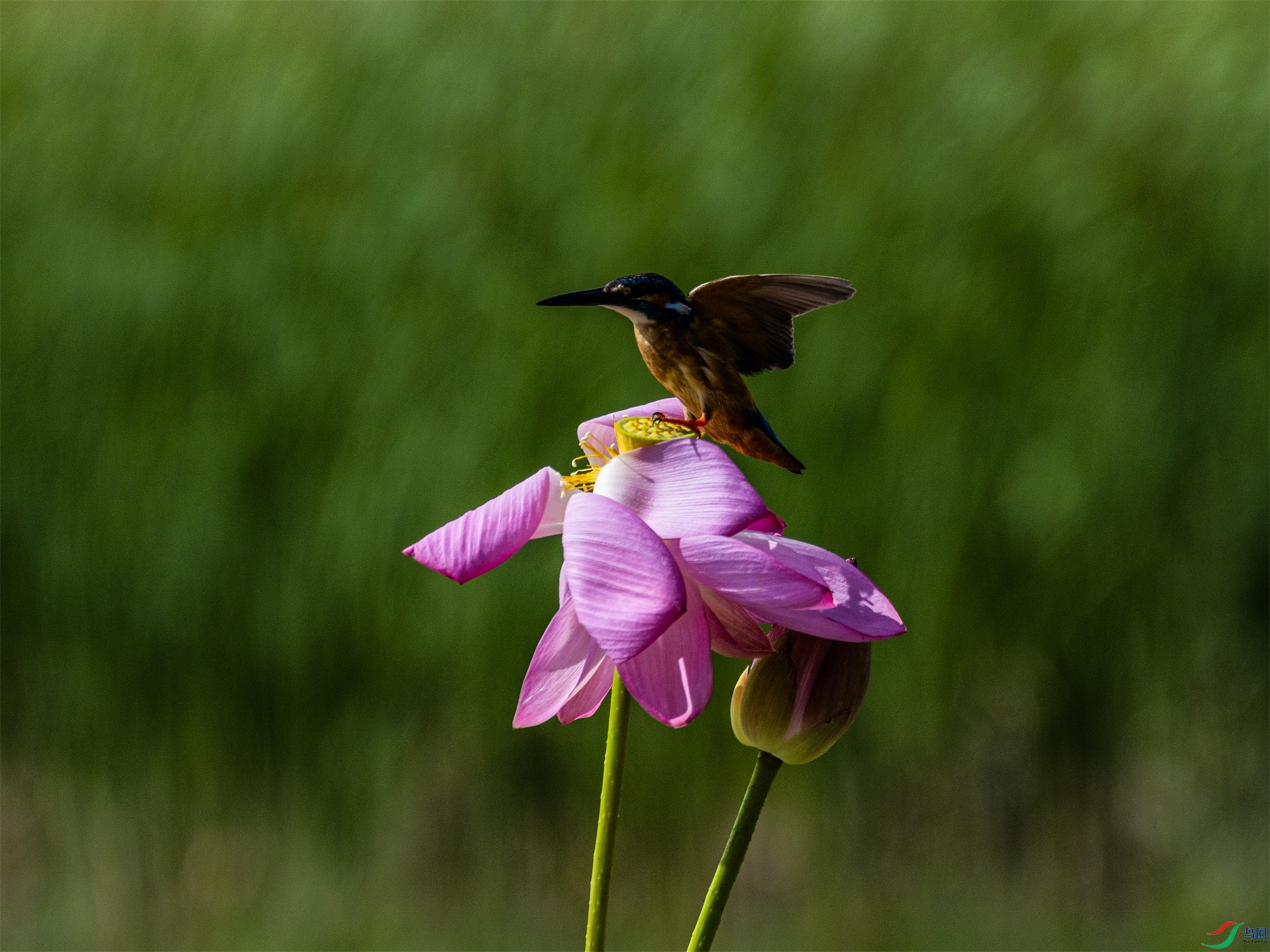 1K3A2328 ����1.jpg