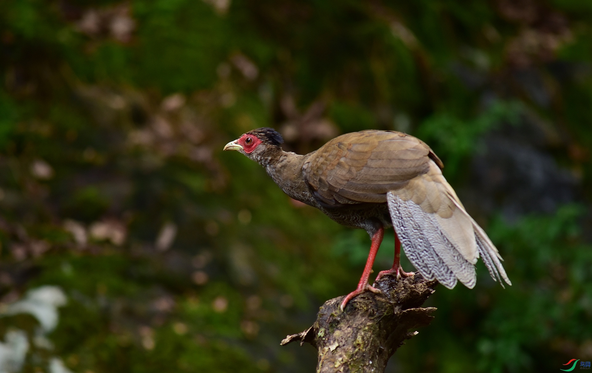 D8I_7220.jpg