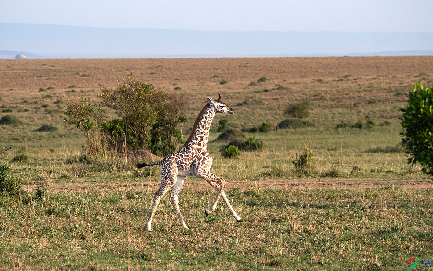 _DSC8205.jpg