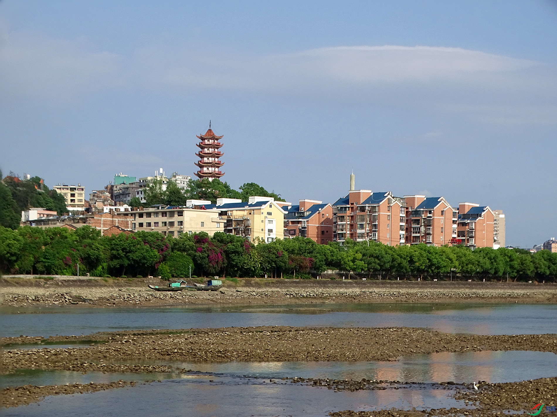 DSC05488_����.jpg