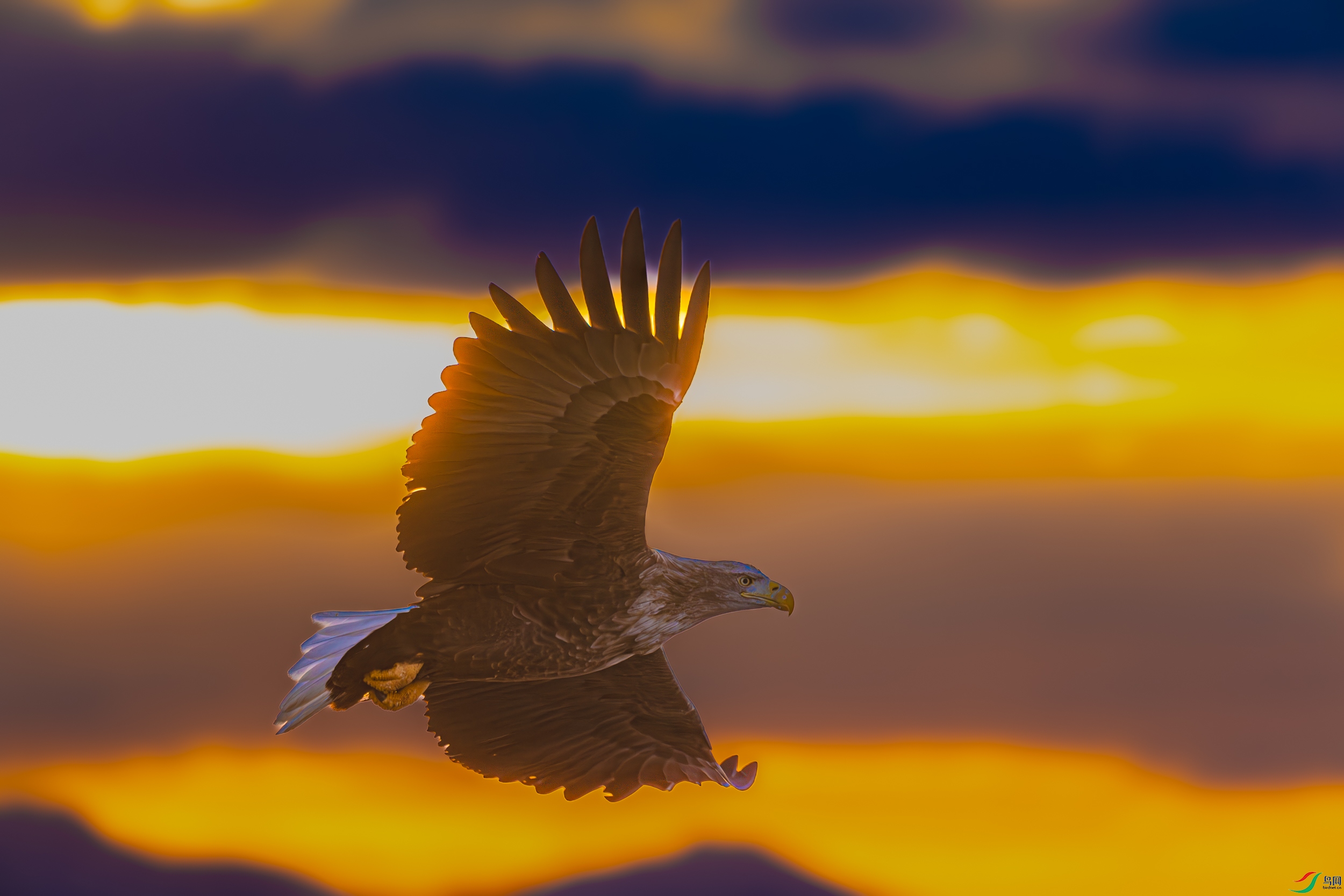 DSC_6314-����ǿ-NR.jpg