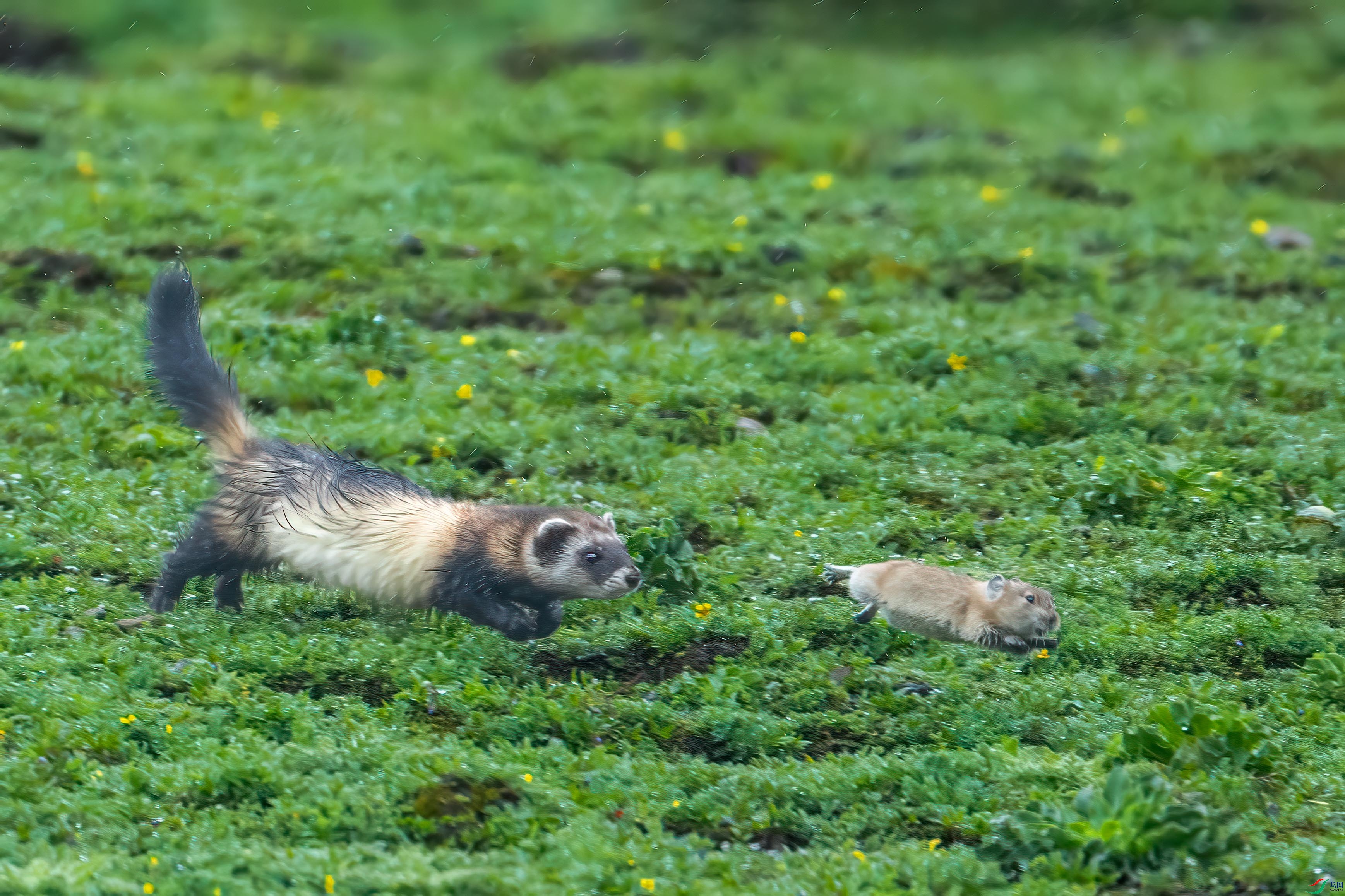 _DSC5213 ����.jpg