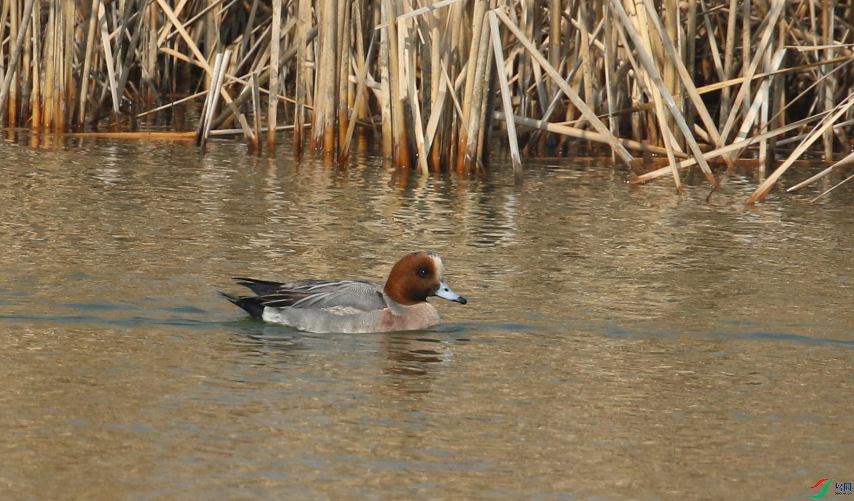 DSC20240303012.jpg