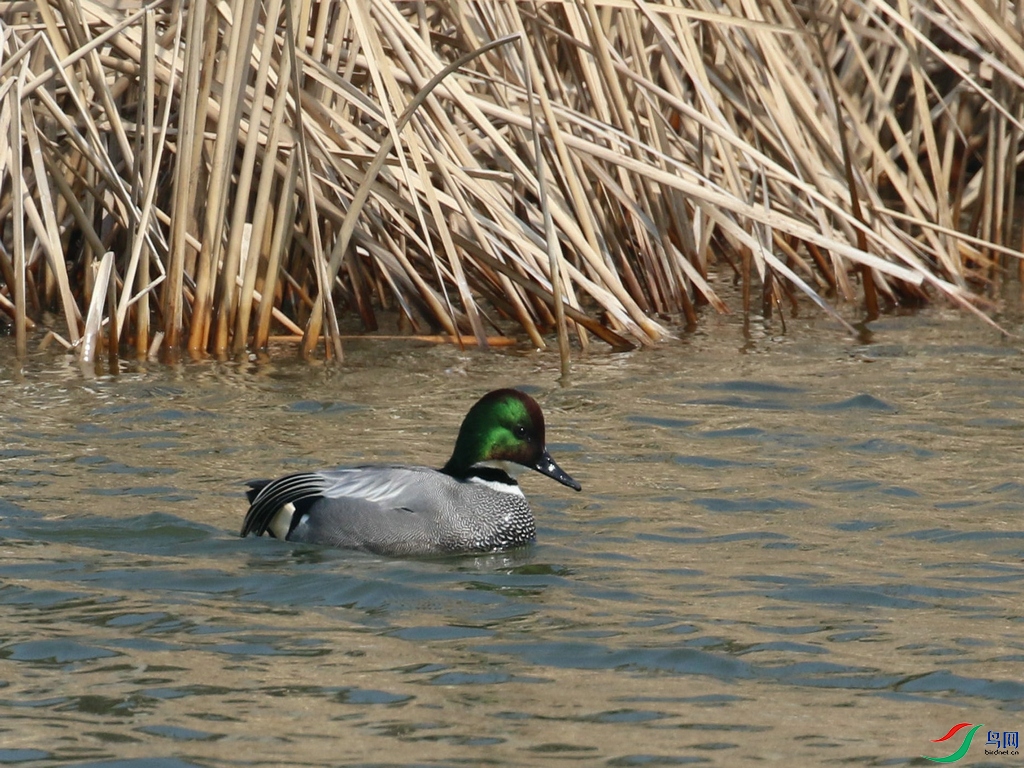 DSC20240303177.jpg