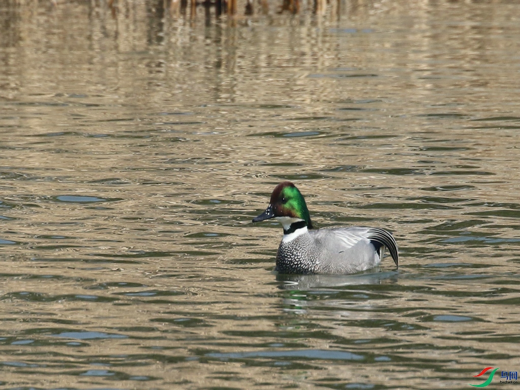 DSC20240303156.jpg