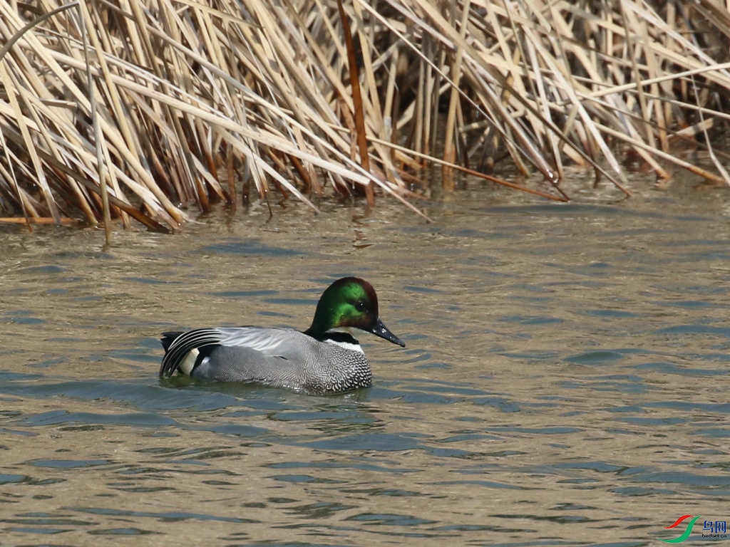 DSC20240303179.jpg