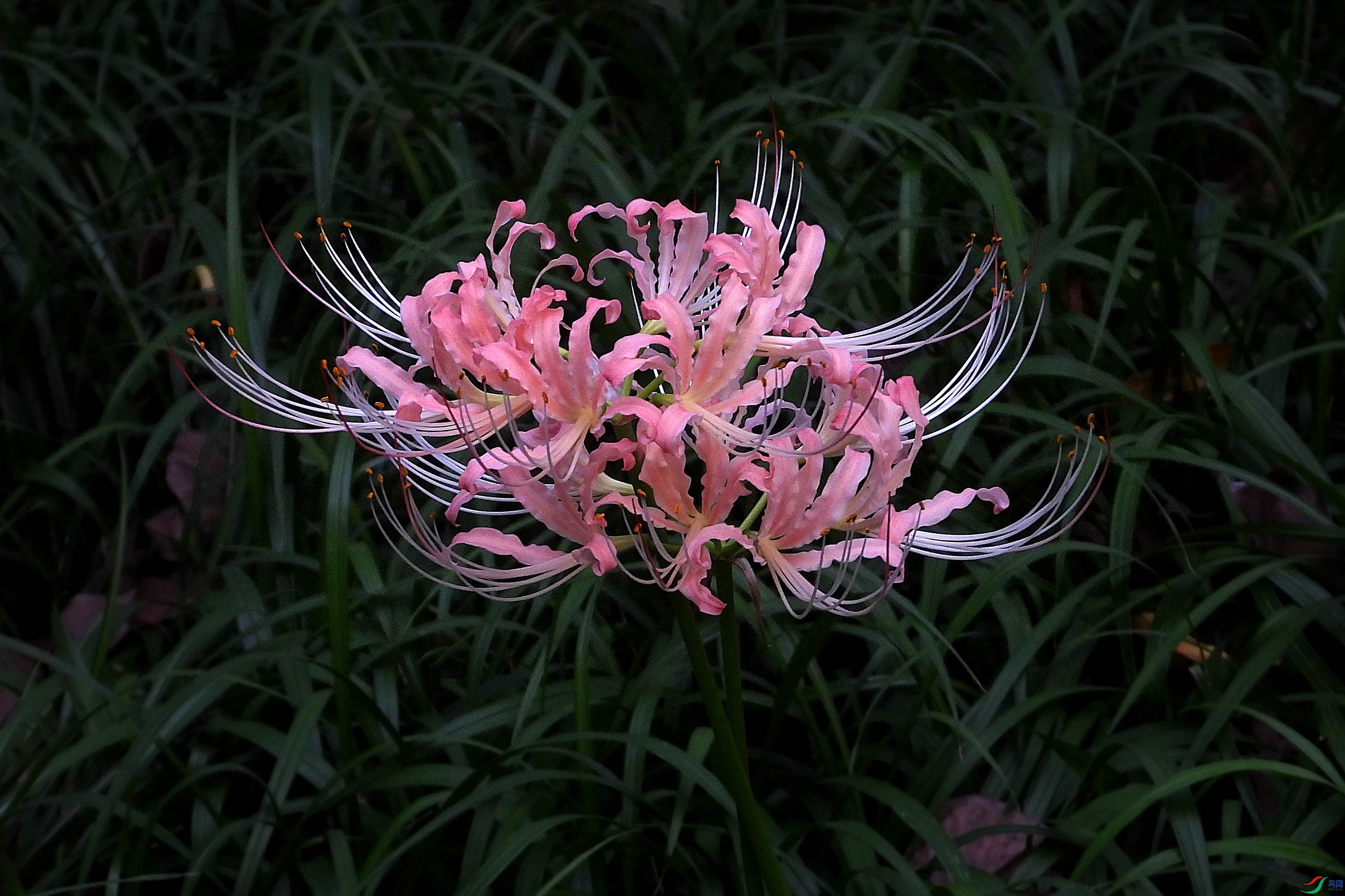 DSCN3692.JPG