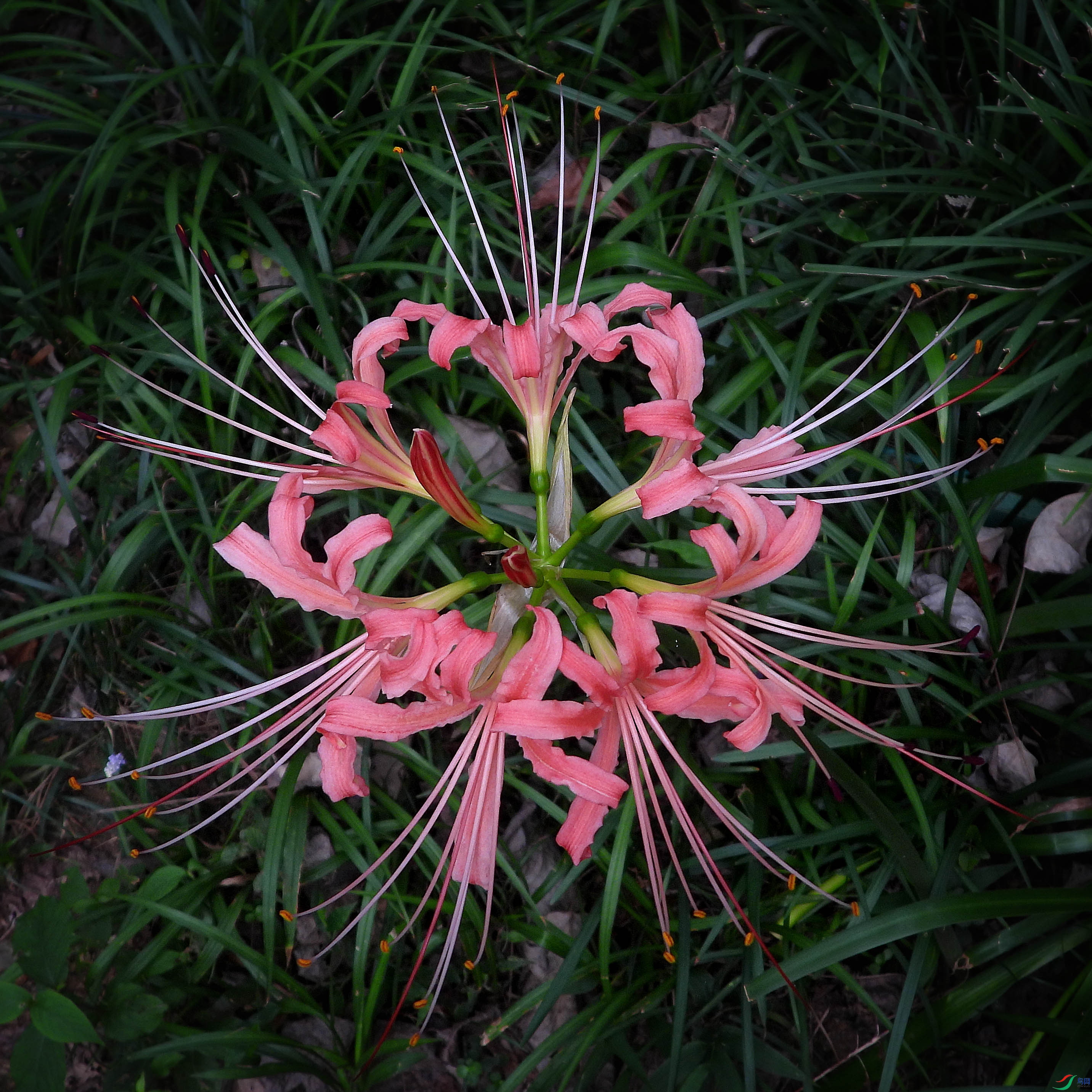 DSCN3696.JPG