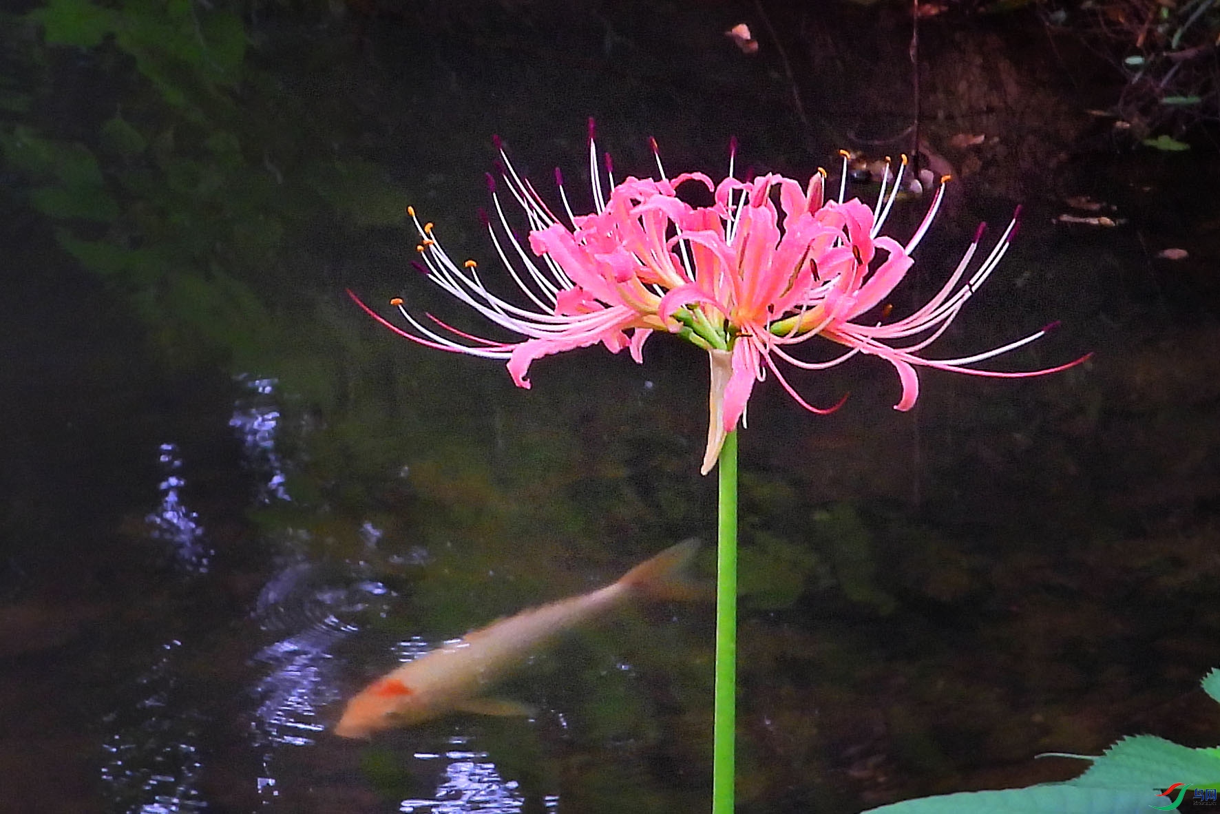 DSCN3727.JPG