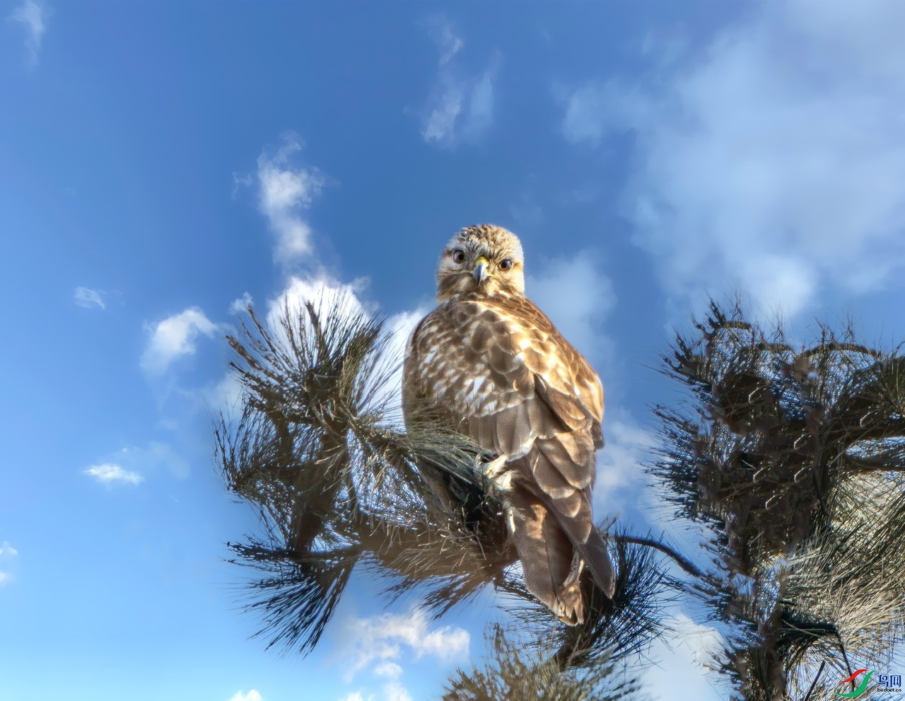 DSC00992-����ǿ ����.jpeg