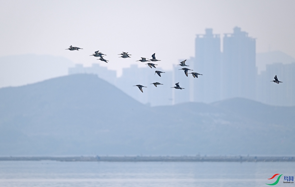 DSCF5818.1.JPG