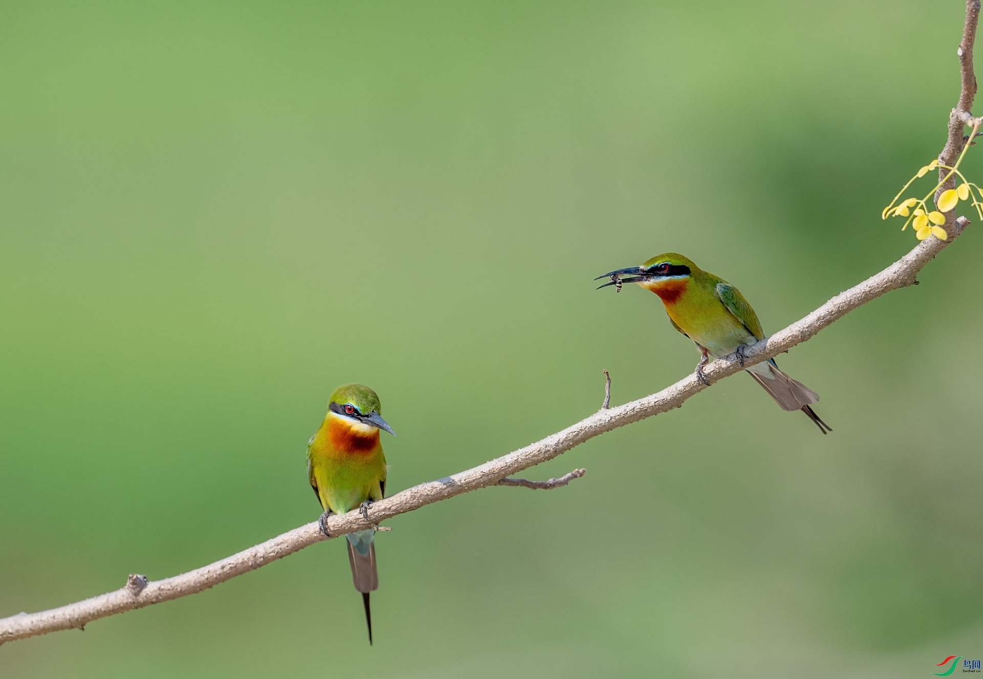 DSC_7746-1.jpg