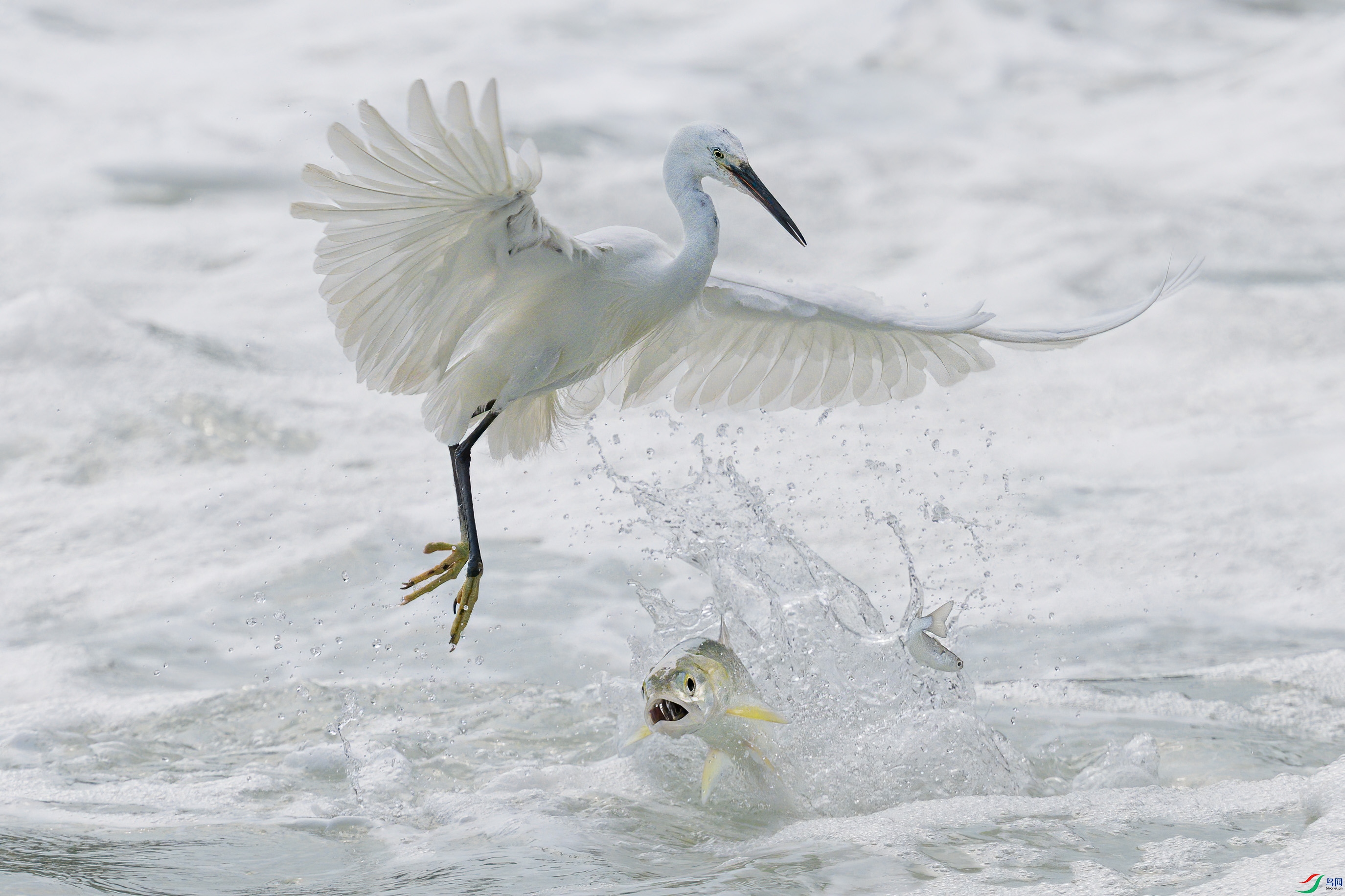 DSC_8550sen2024-8-10-125-�༭.jpg