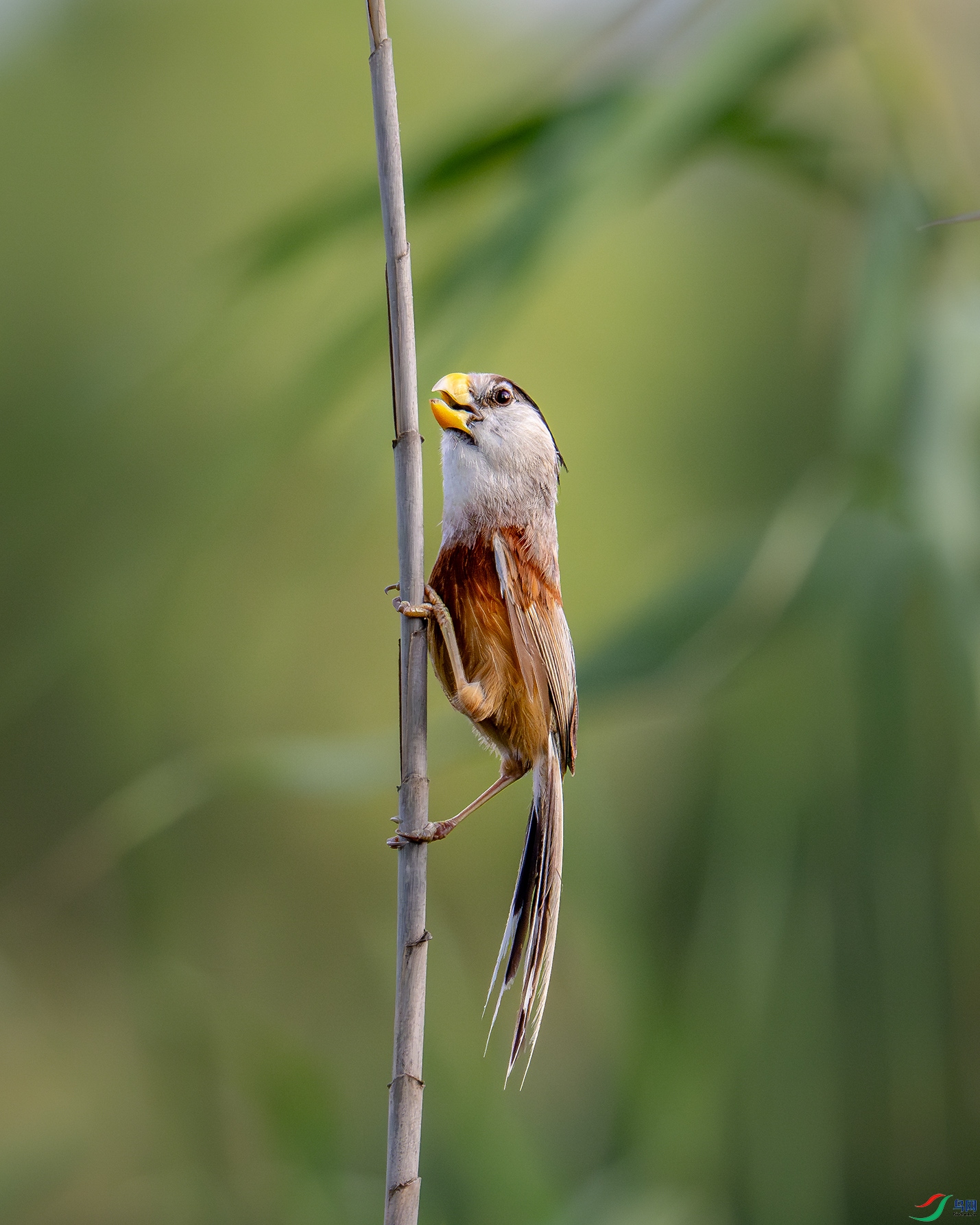 _DSC3707bb33.jpg