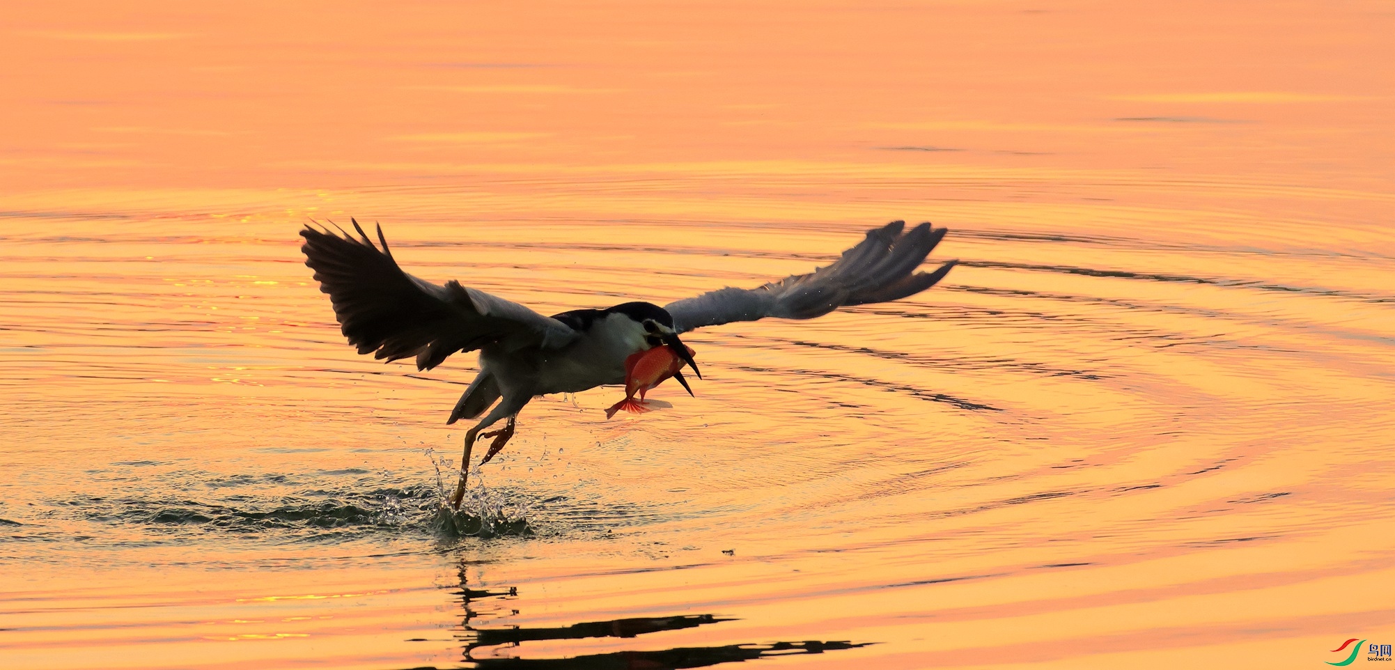 _35A3329_����.jpg