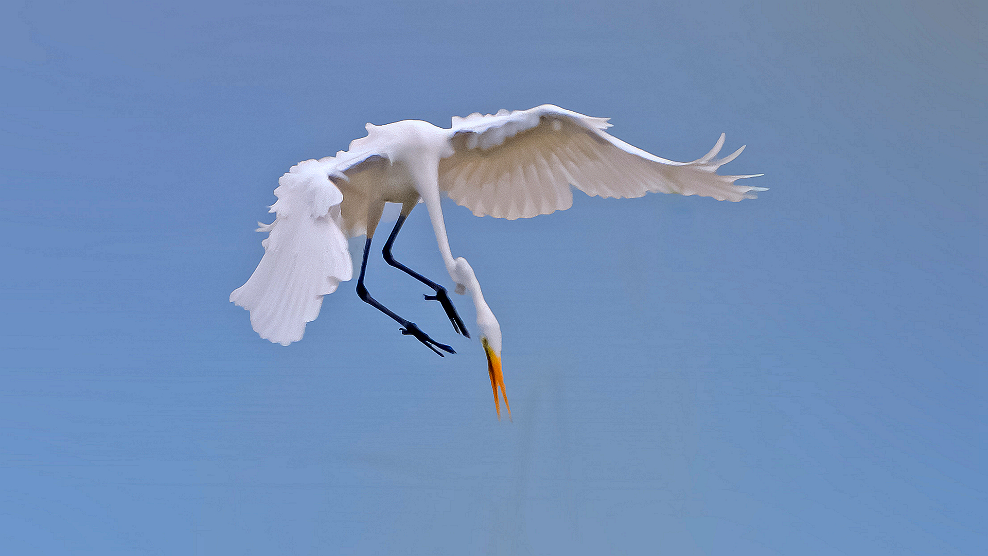 049_����-����-��·.jpg