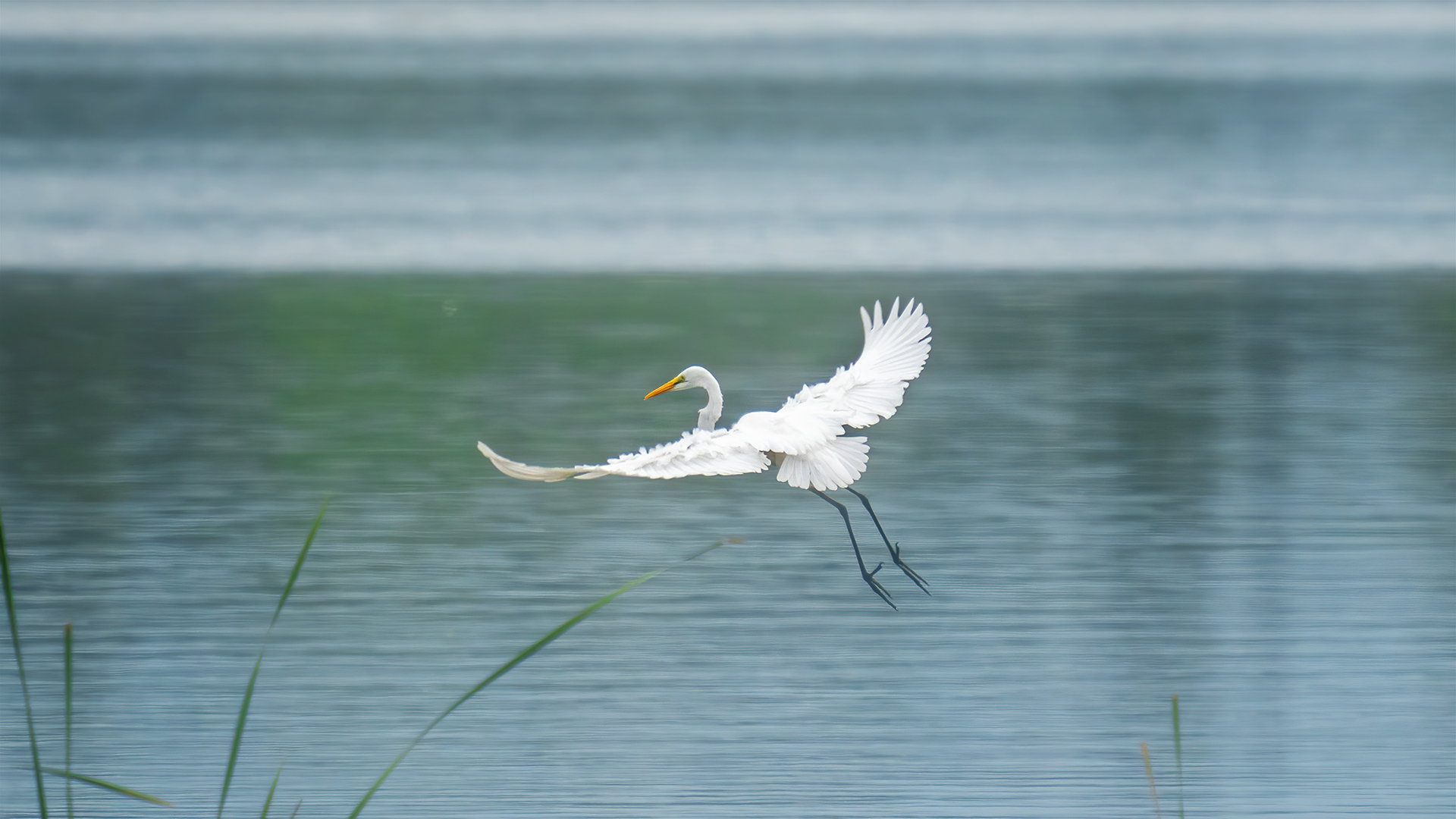 С�׺�-����DSC07196 ����.jpg