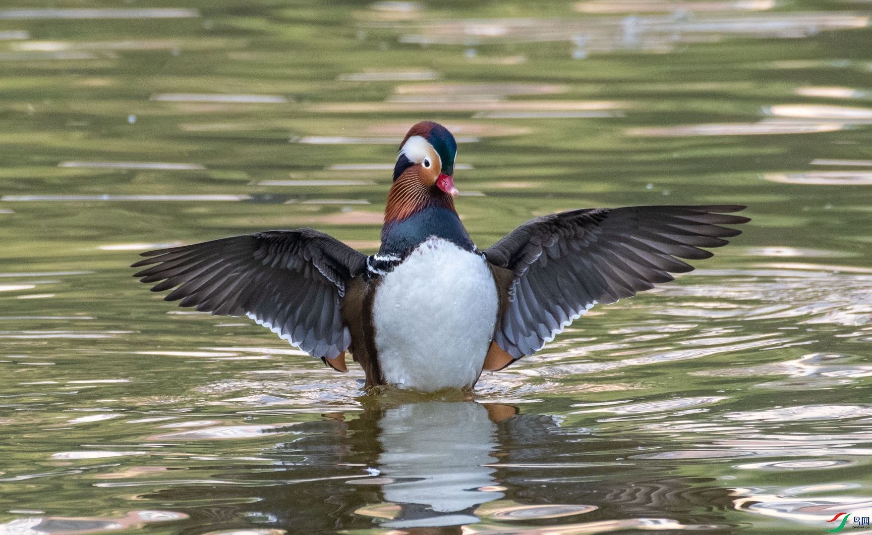 DSC_5455.jpg