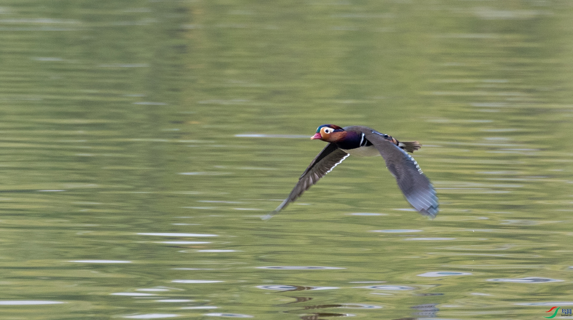 DSC_5763.jpg